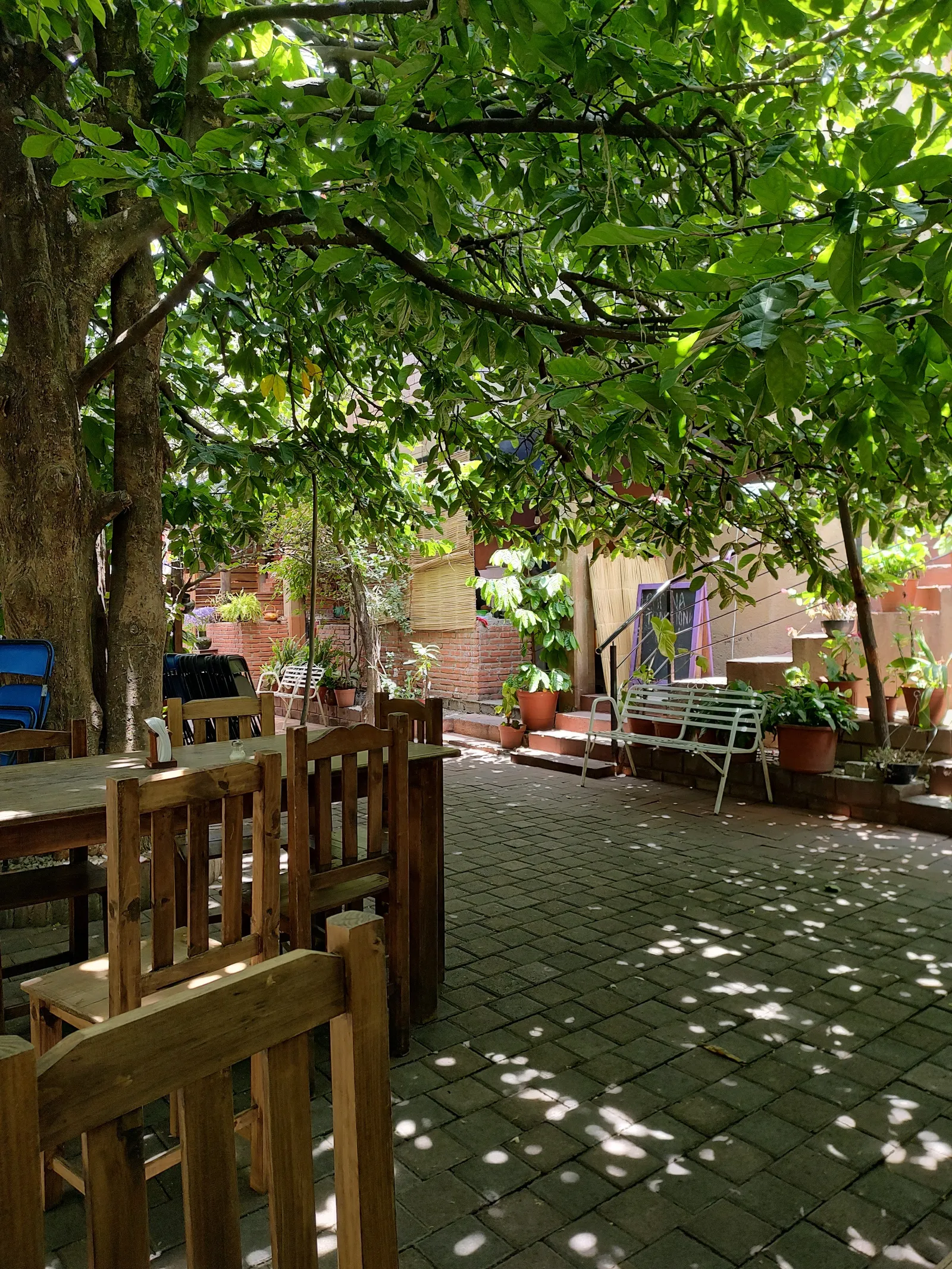 Restaurante La Casa de la Abuela image 7