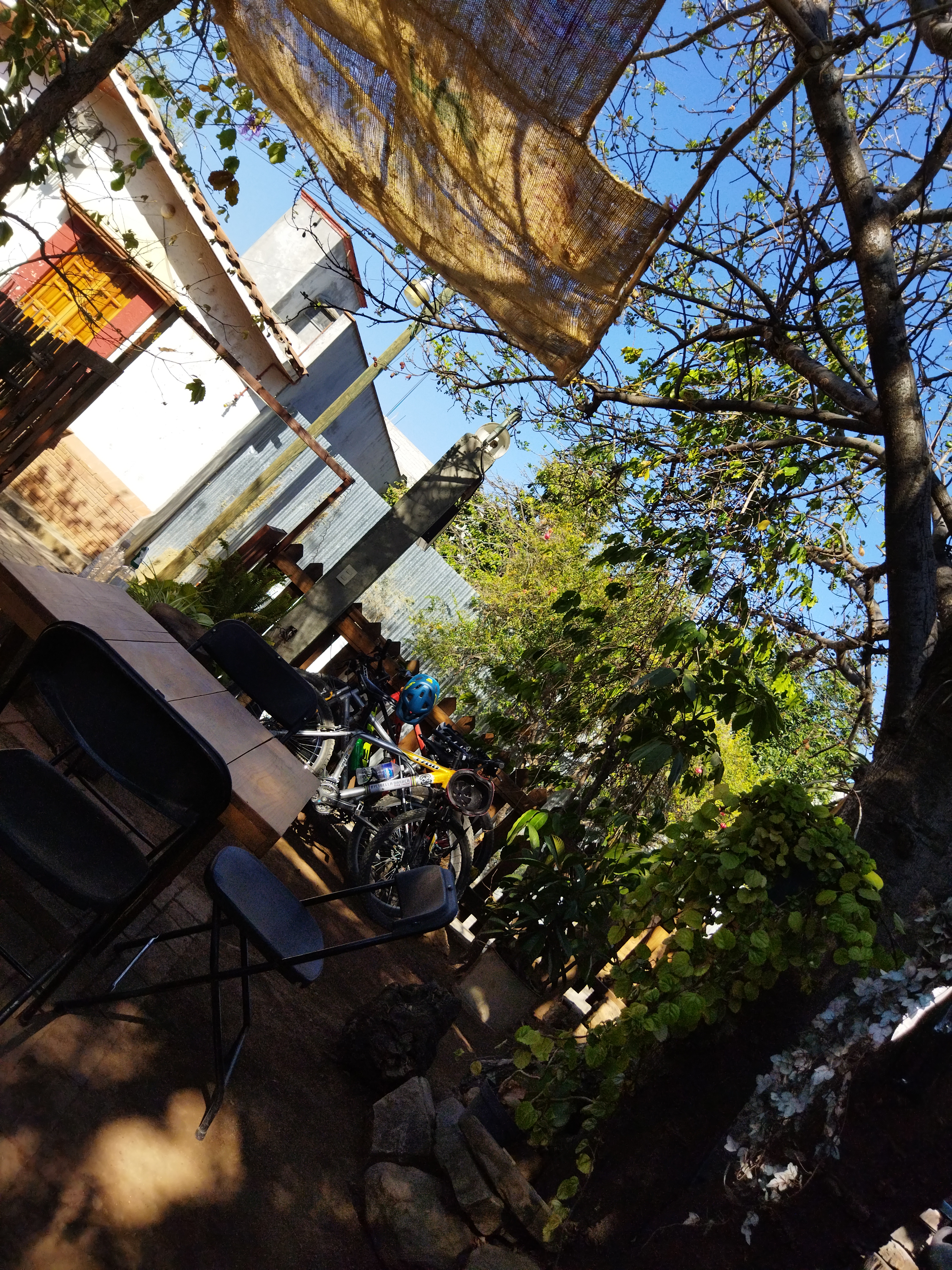 El Corazón de Huayápam image 4