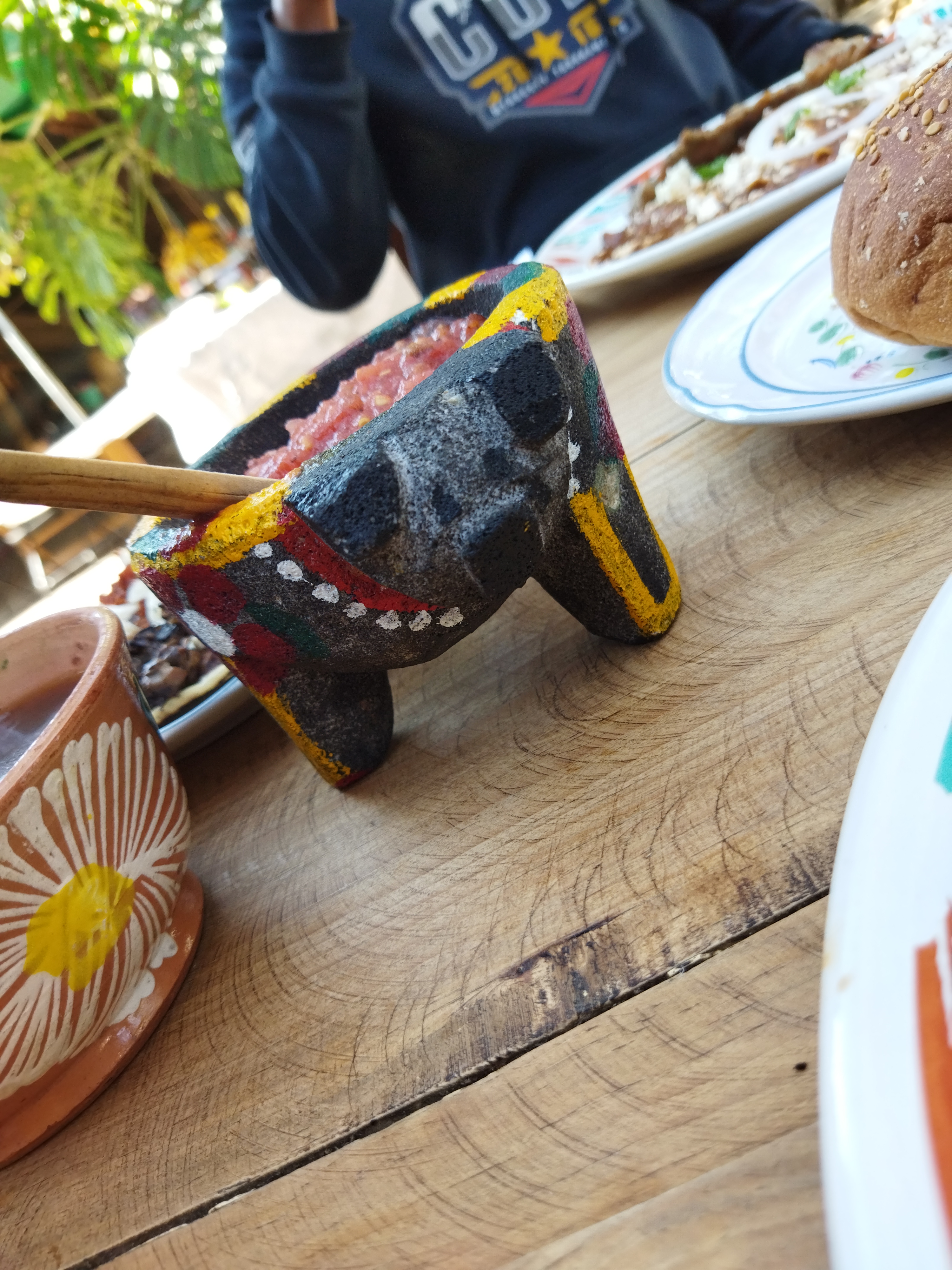 El Corazón de Huayápam image 8