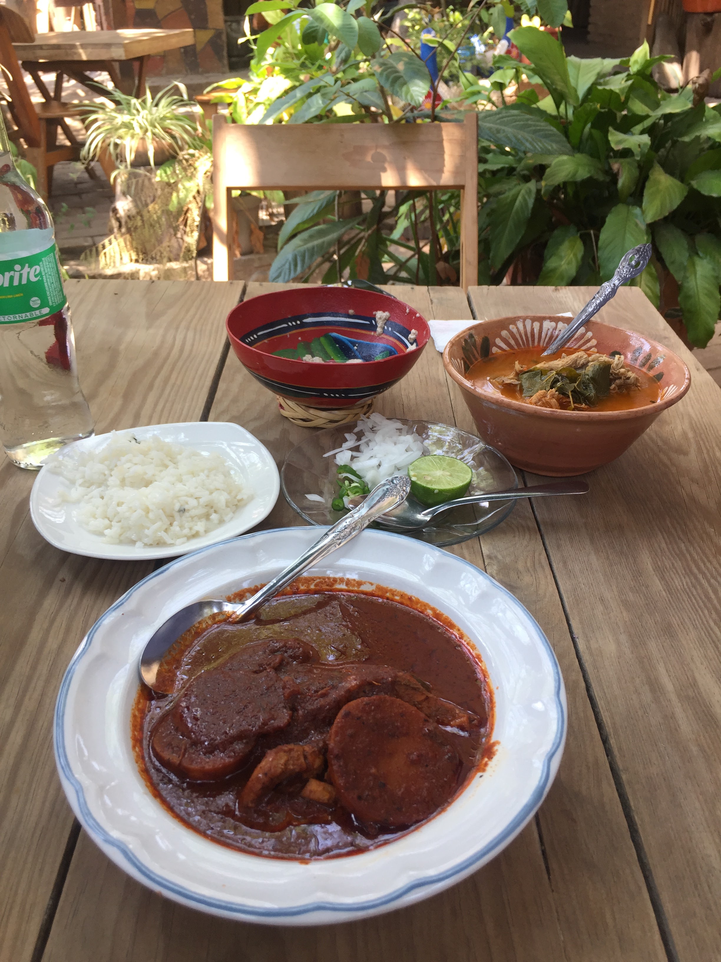 El Corazón de Huayápam image 9