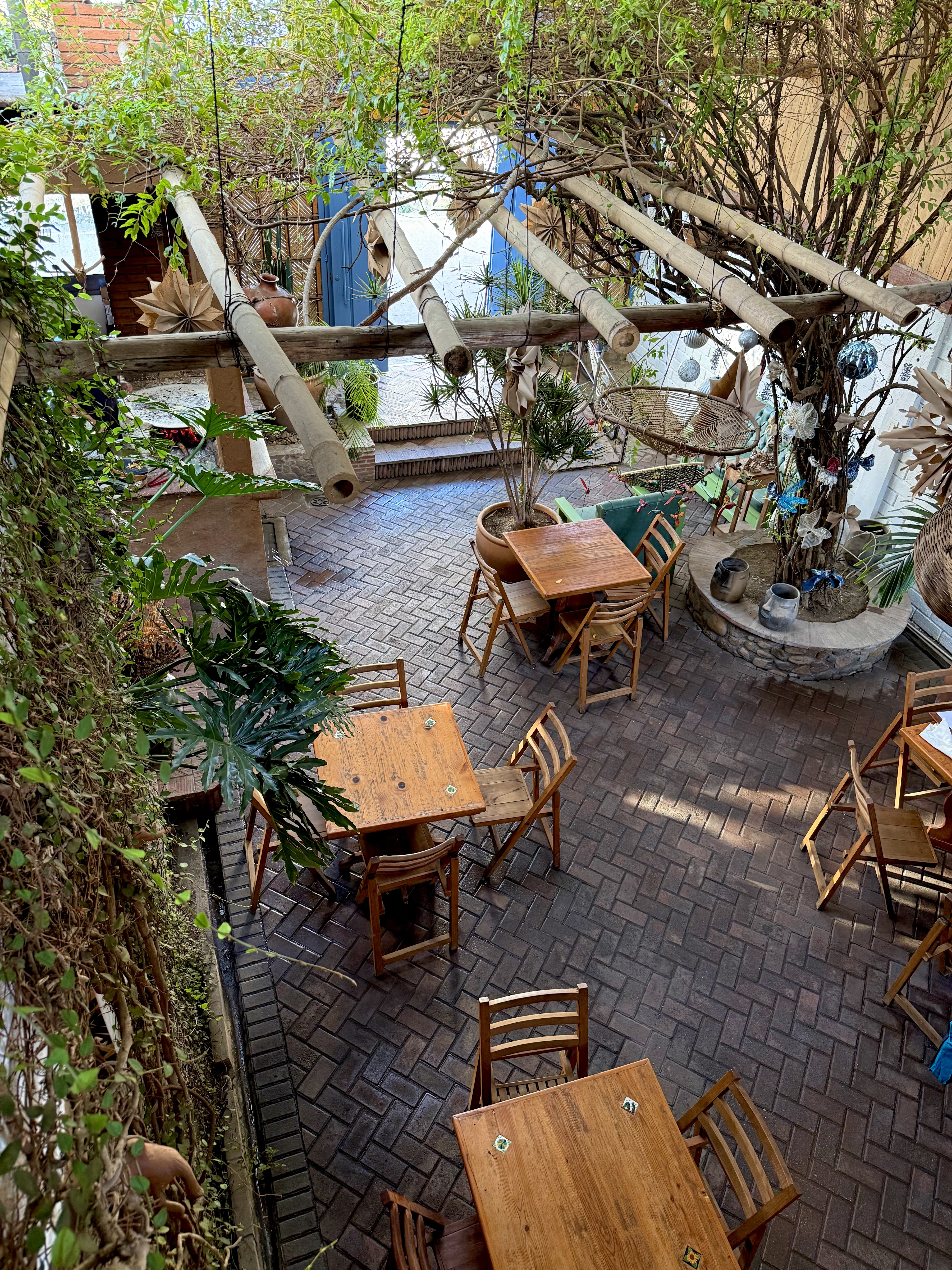 Luz de Luna Huayápam image 9