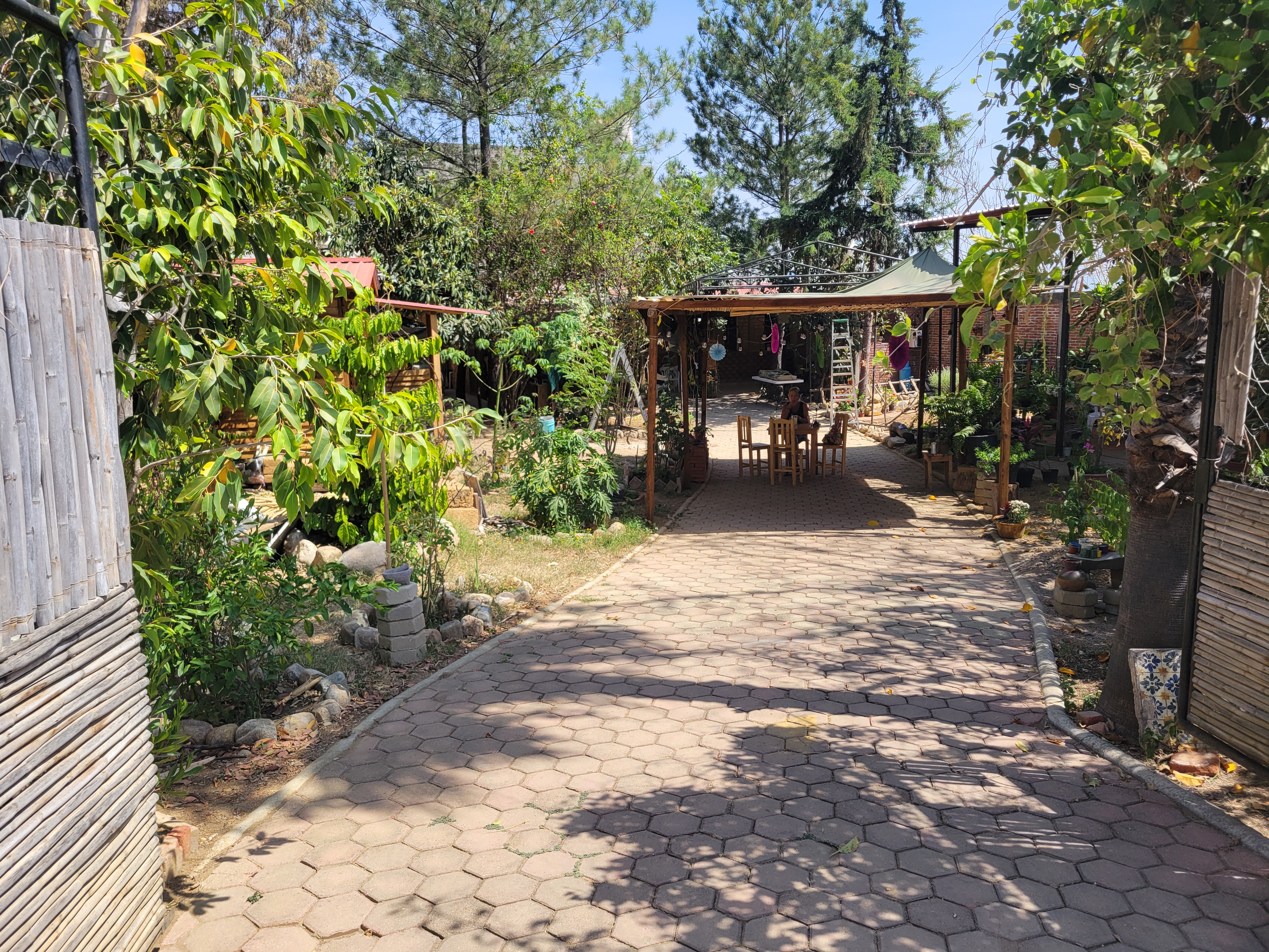 Casa Aurora Huayapam image 4