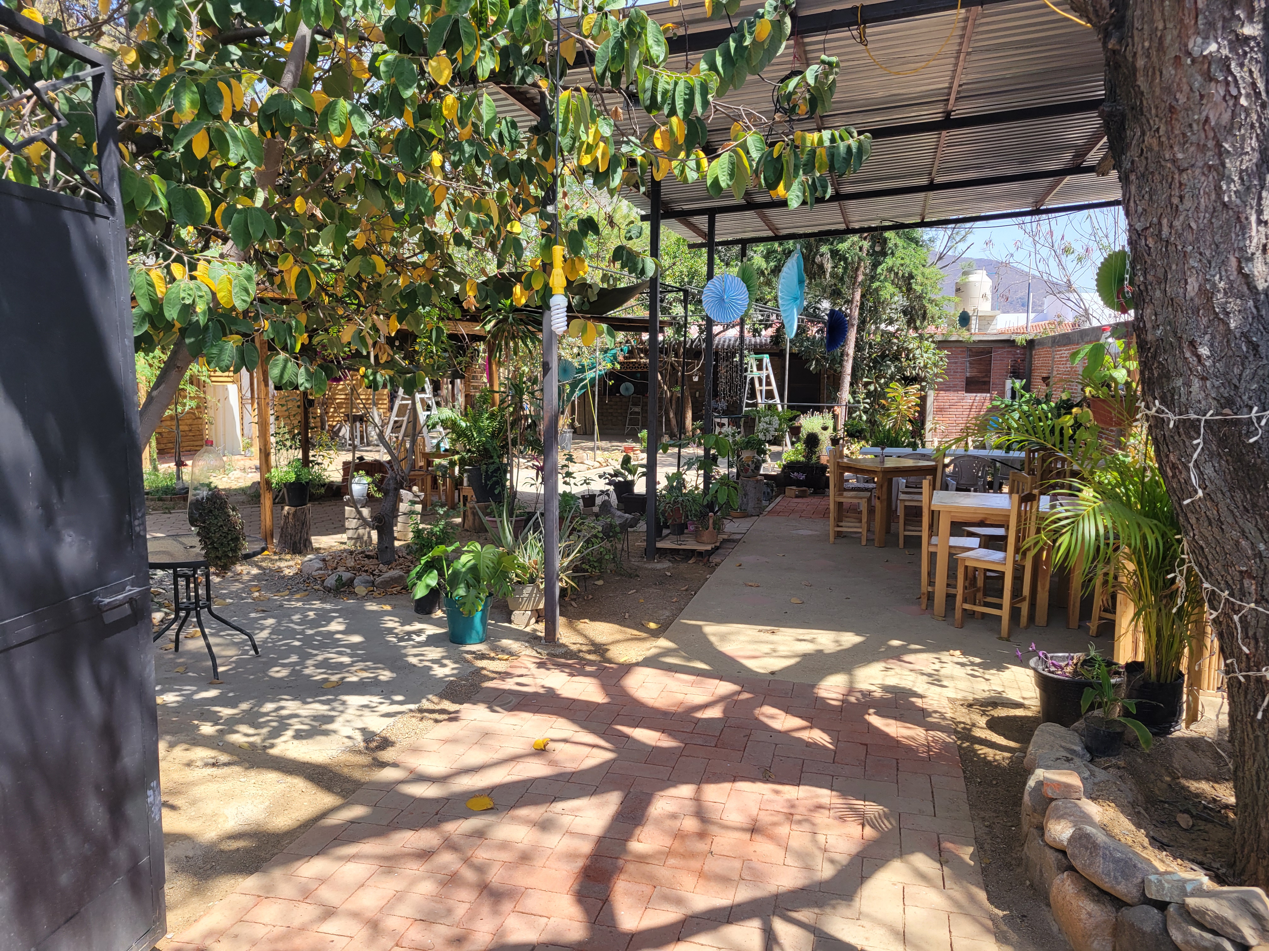 Casa Aurora Huayapam image 5