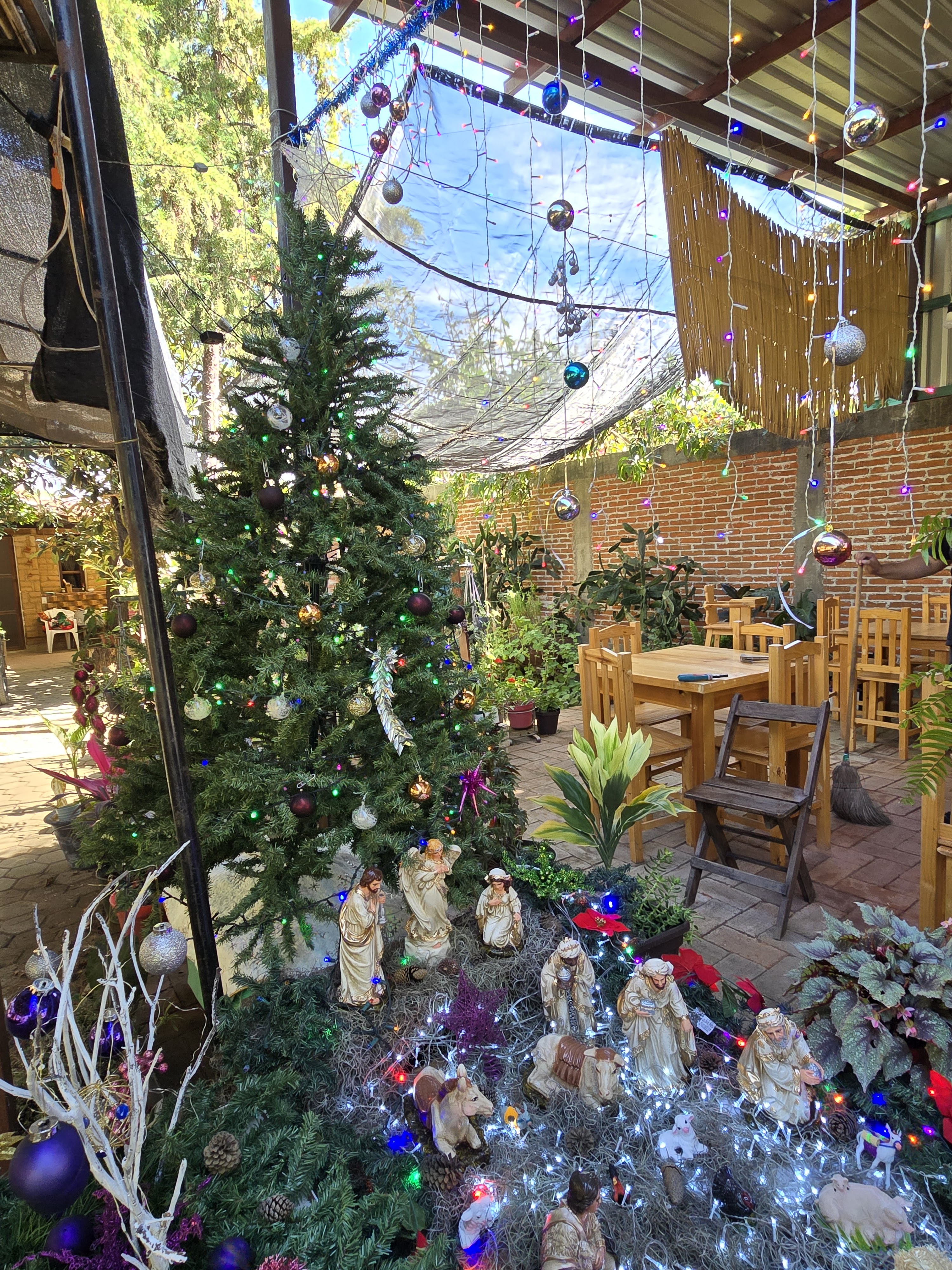 Casa Aurora Huayapam image 8