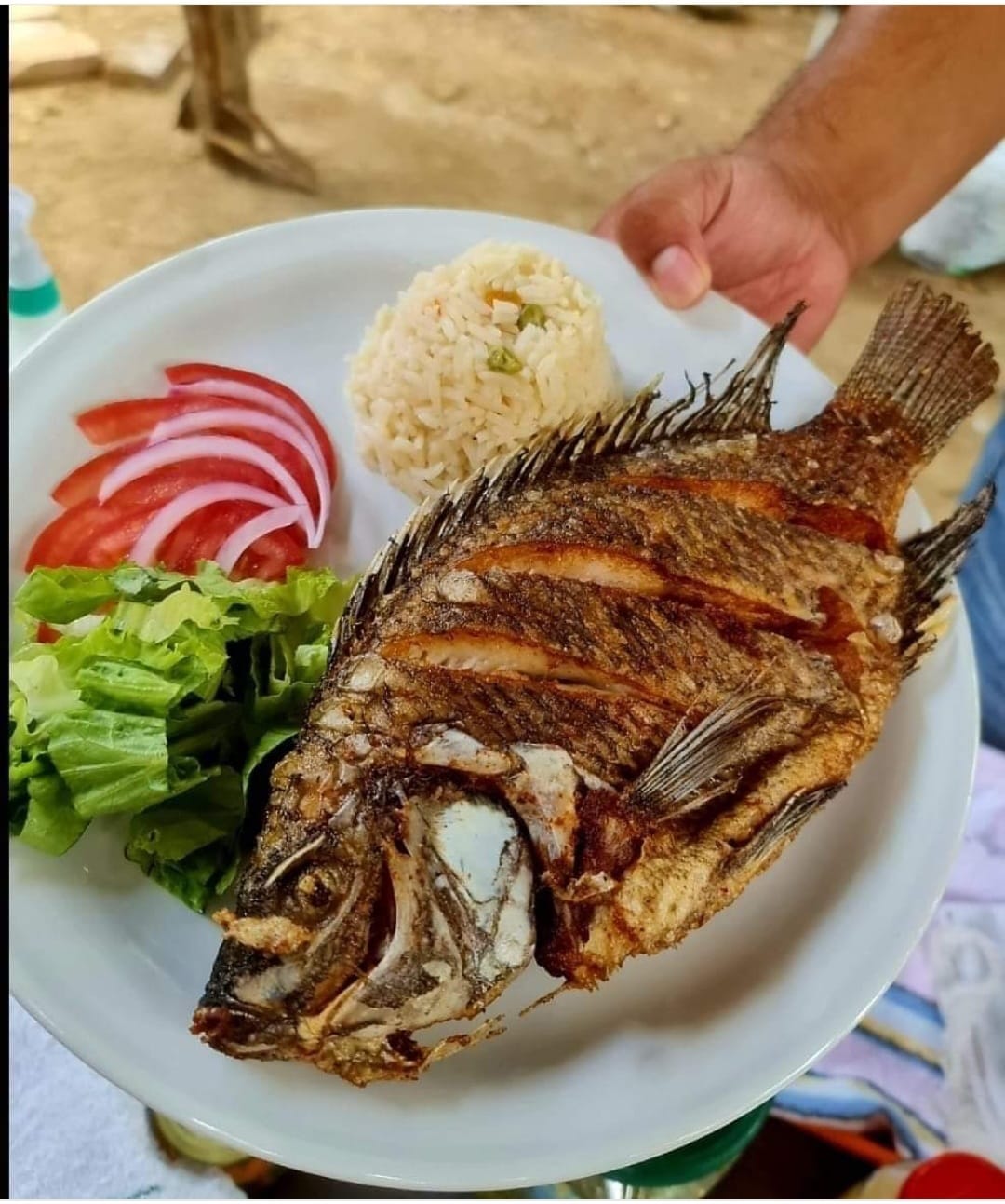 Casa Aurora Huayapam image 9