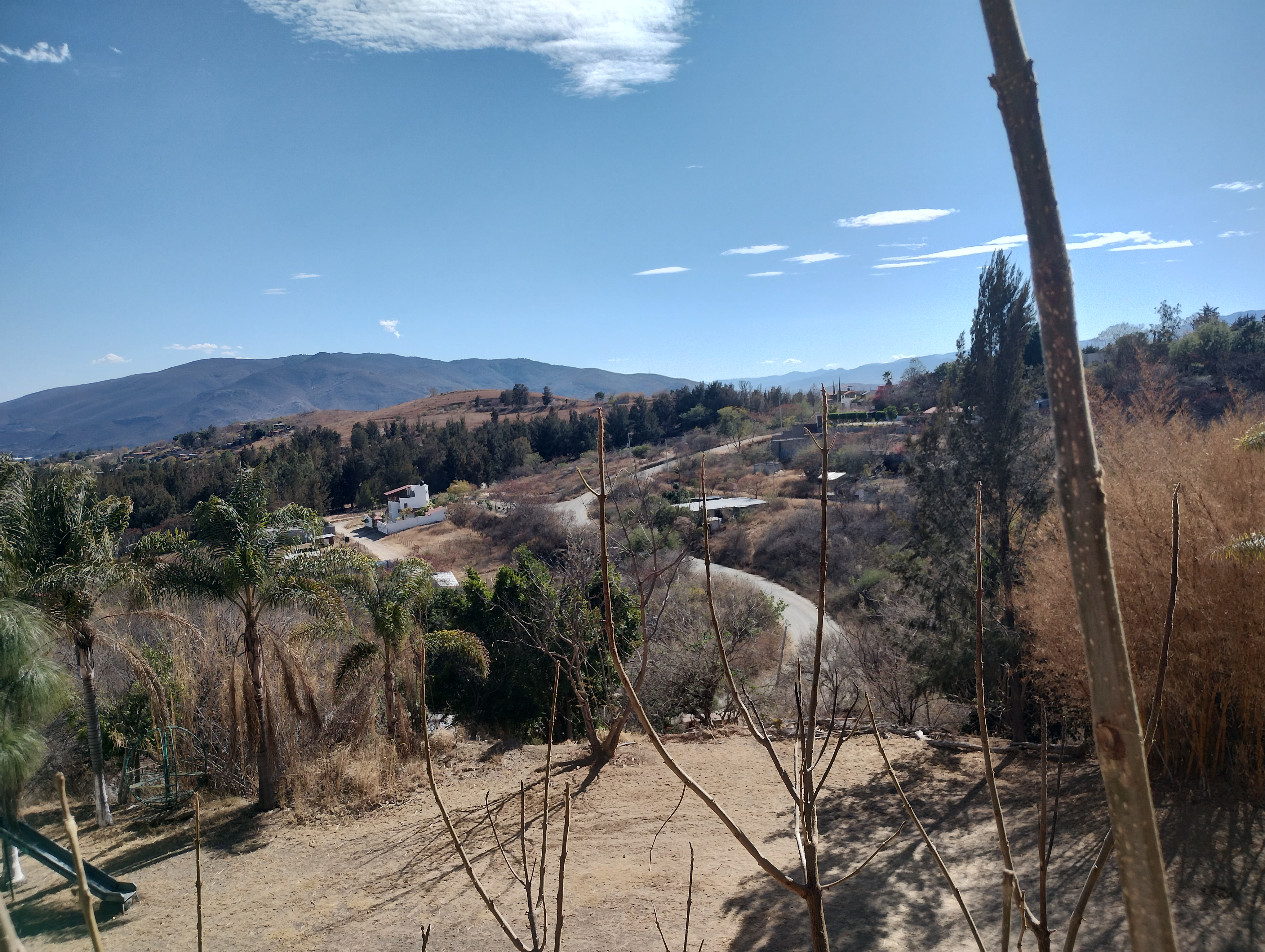 Restaurante La Perla image 4