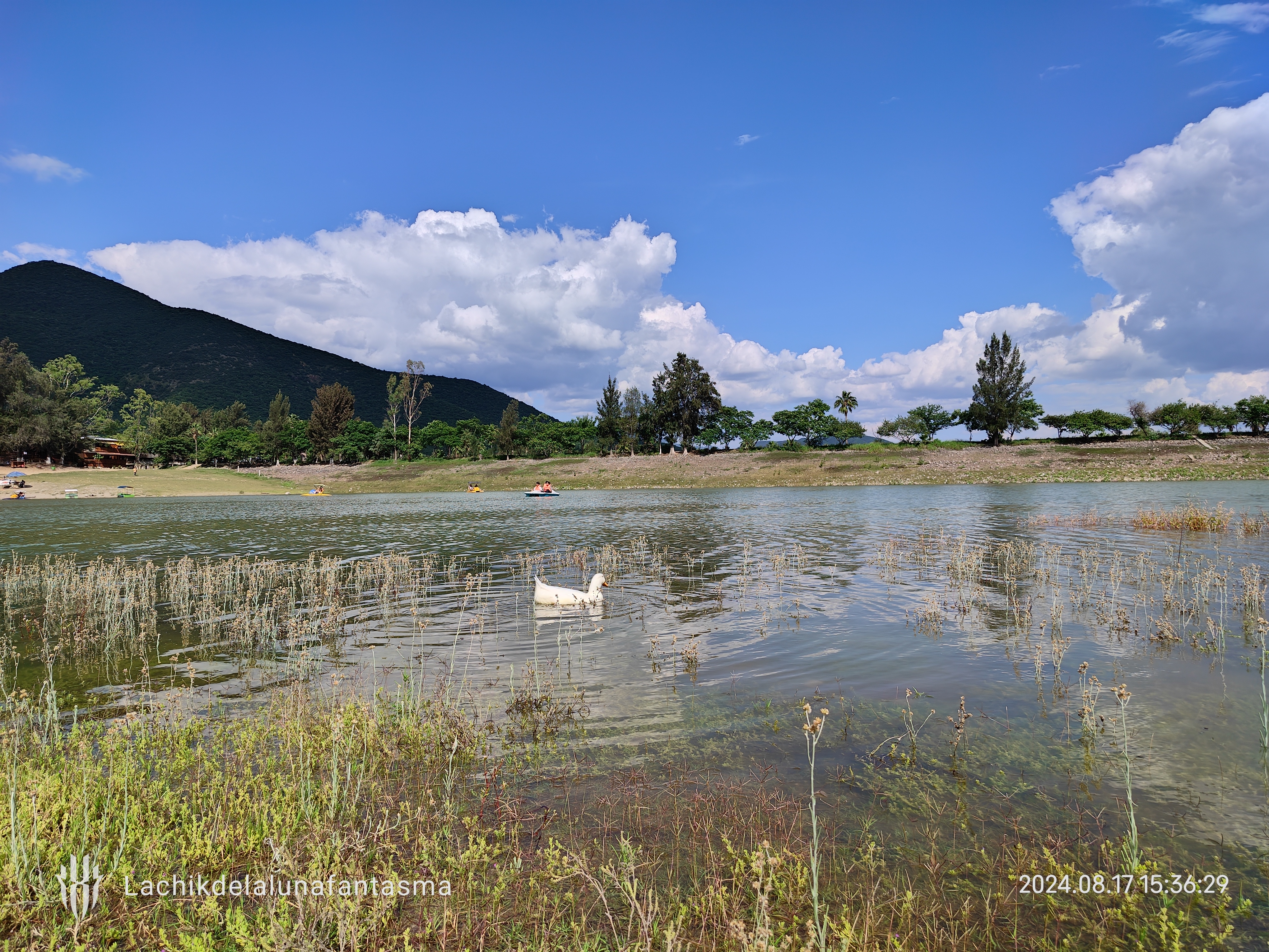 Las Mojarritas image 3