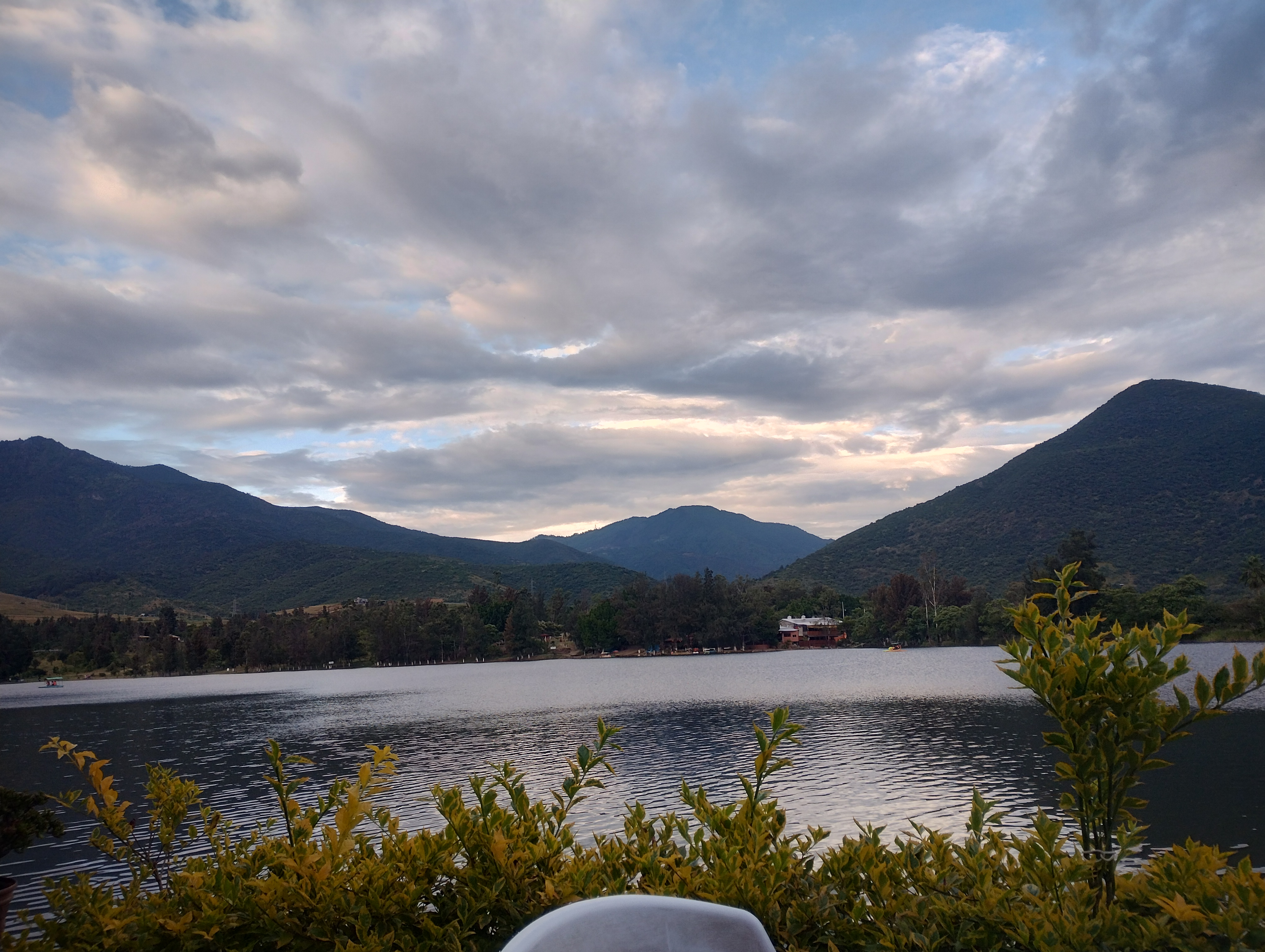 Las Mojarritas image 4