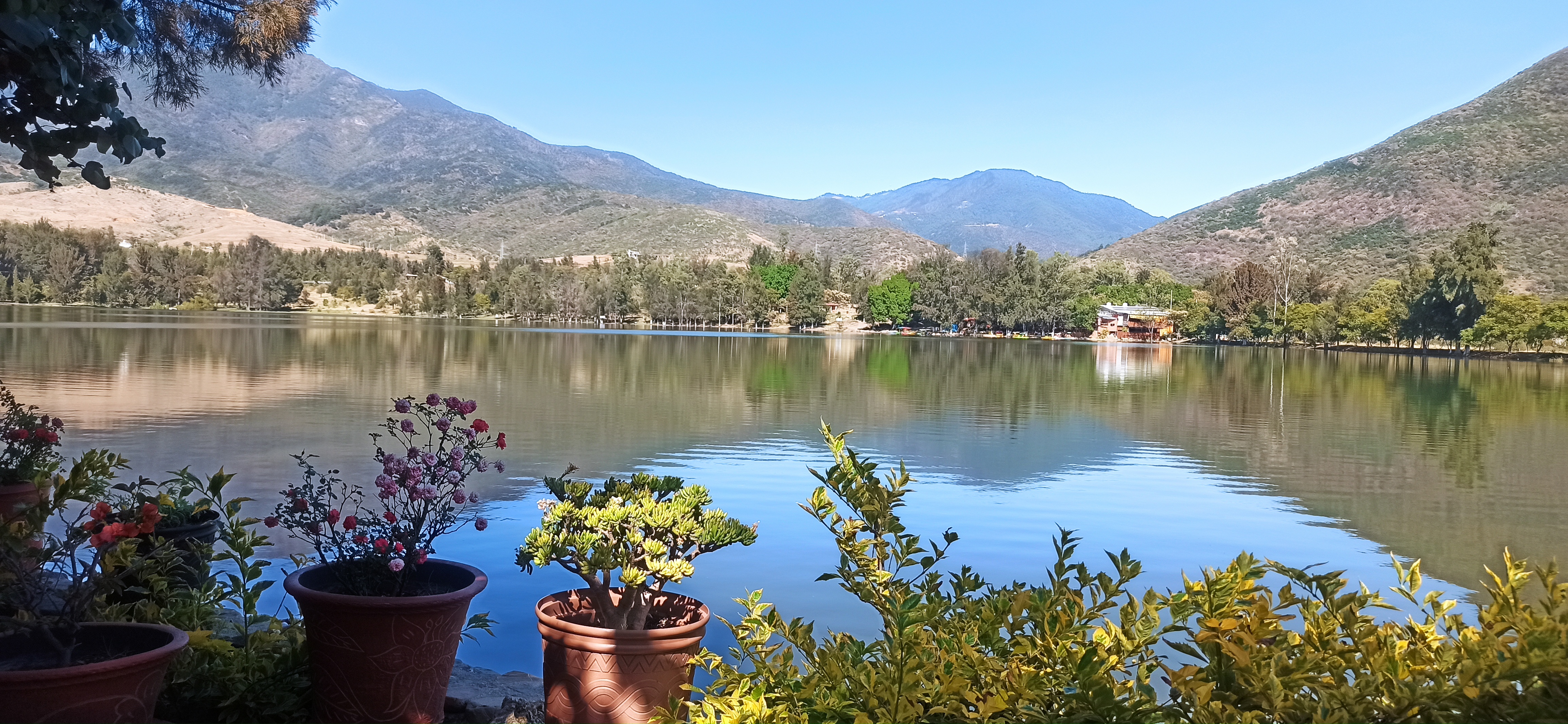 Las Mojarritas image 5