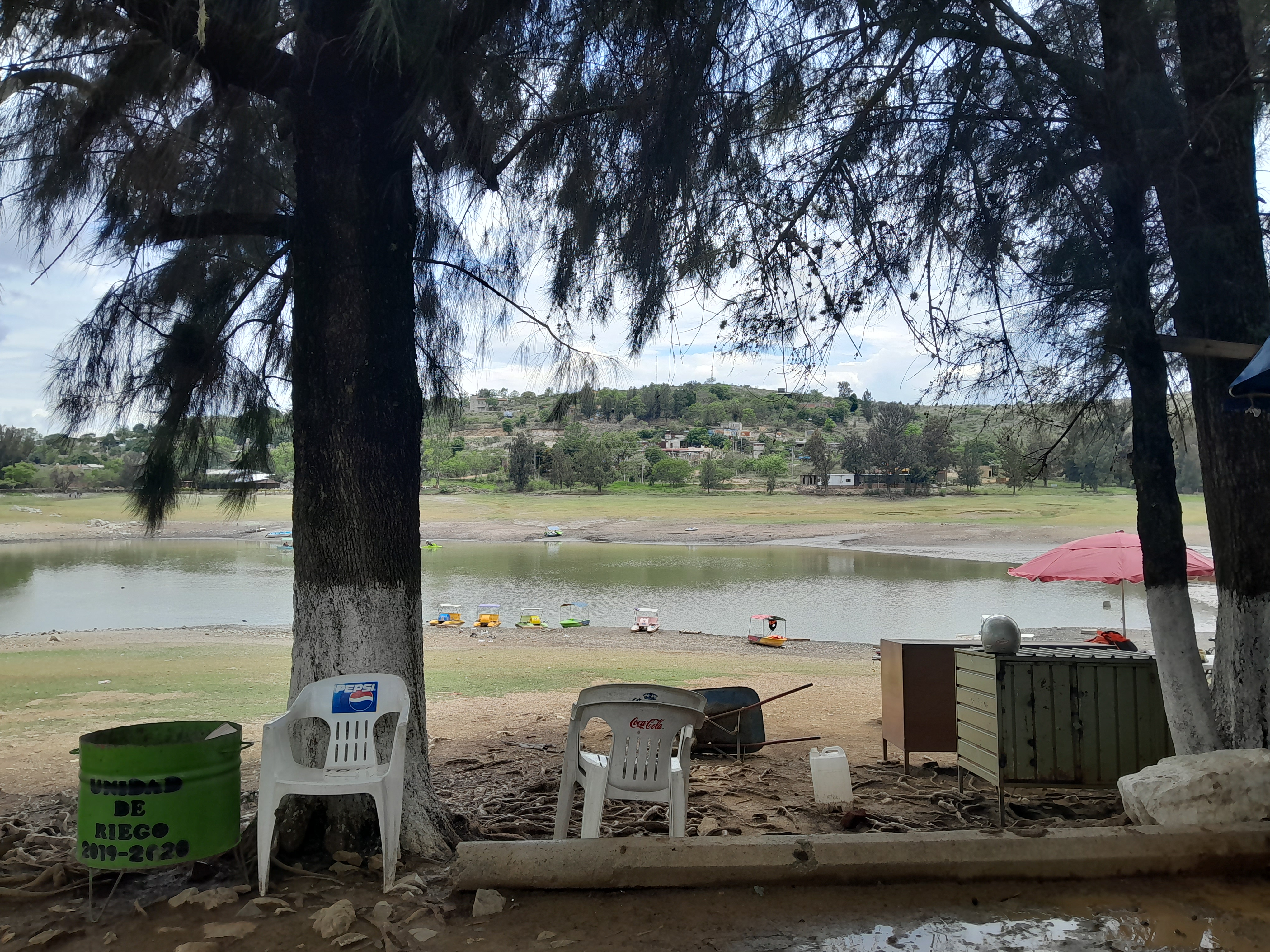 Las Mojarritas image 6