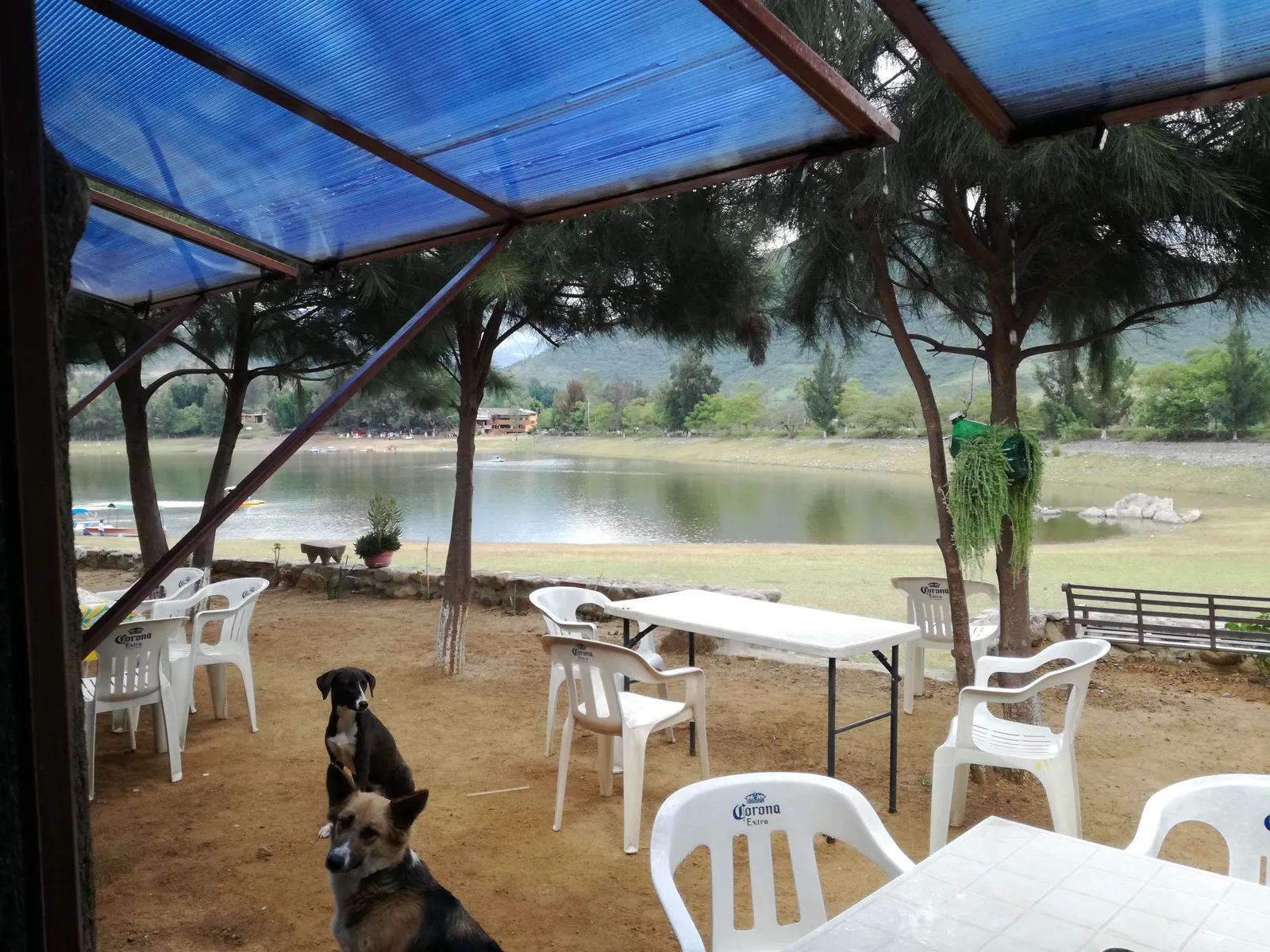 Las Mojarritas image 9