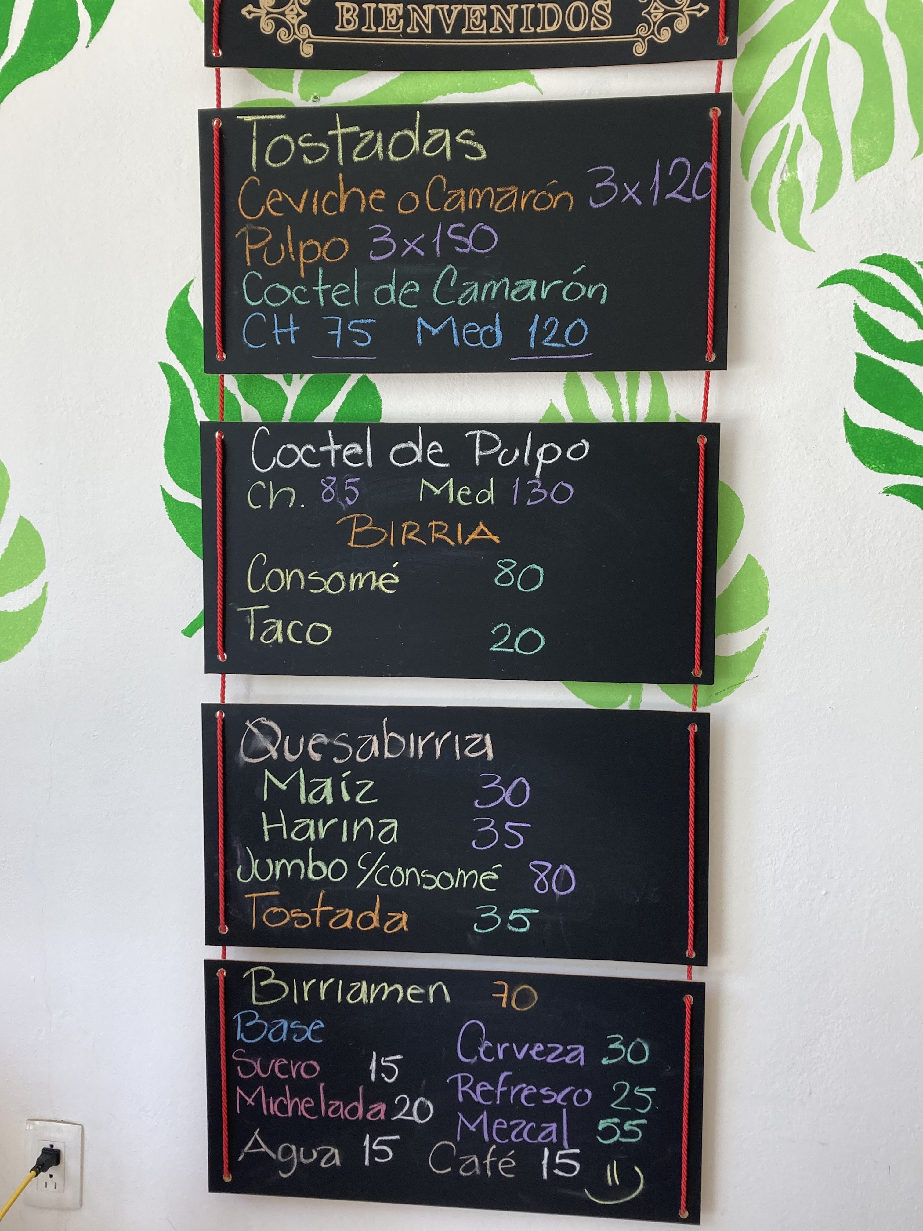 Birria & Fish image 7