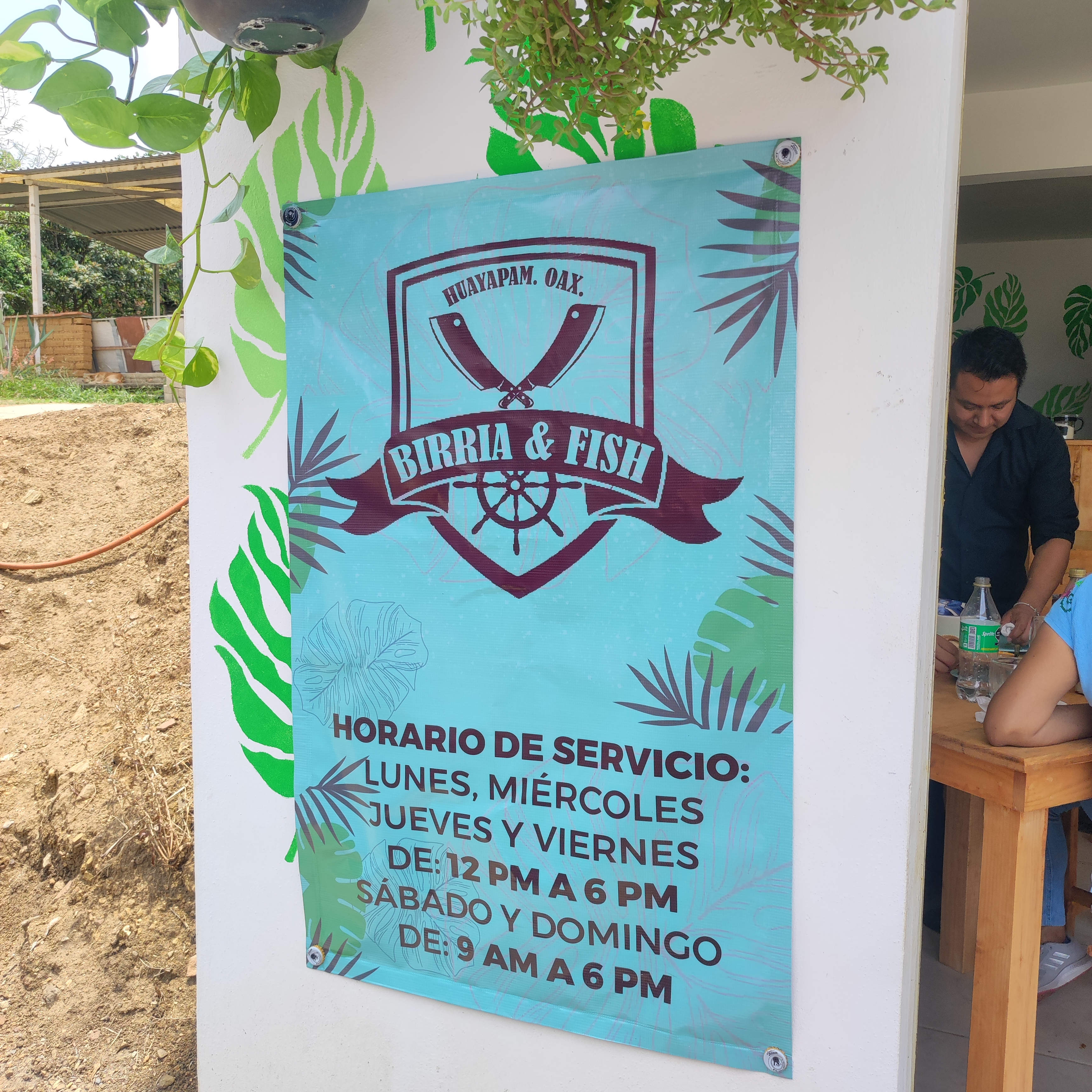 Birria & Fish image 10