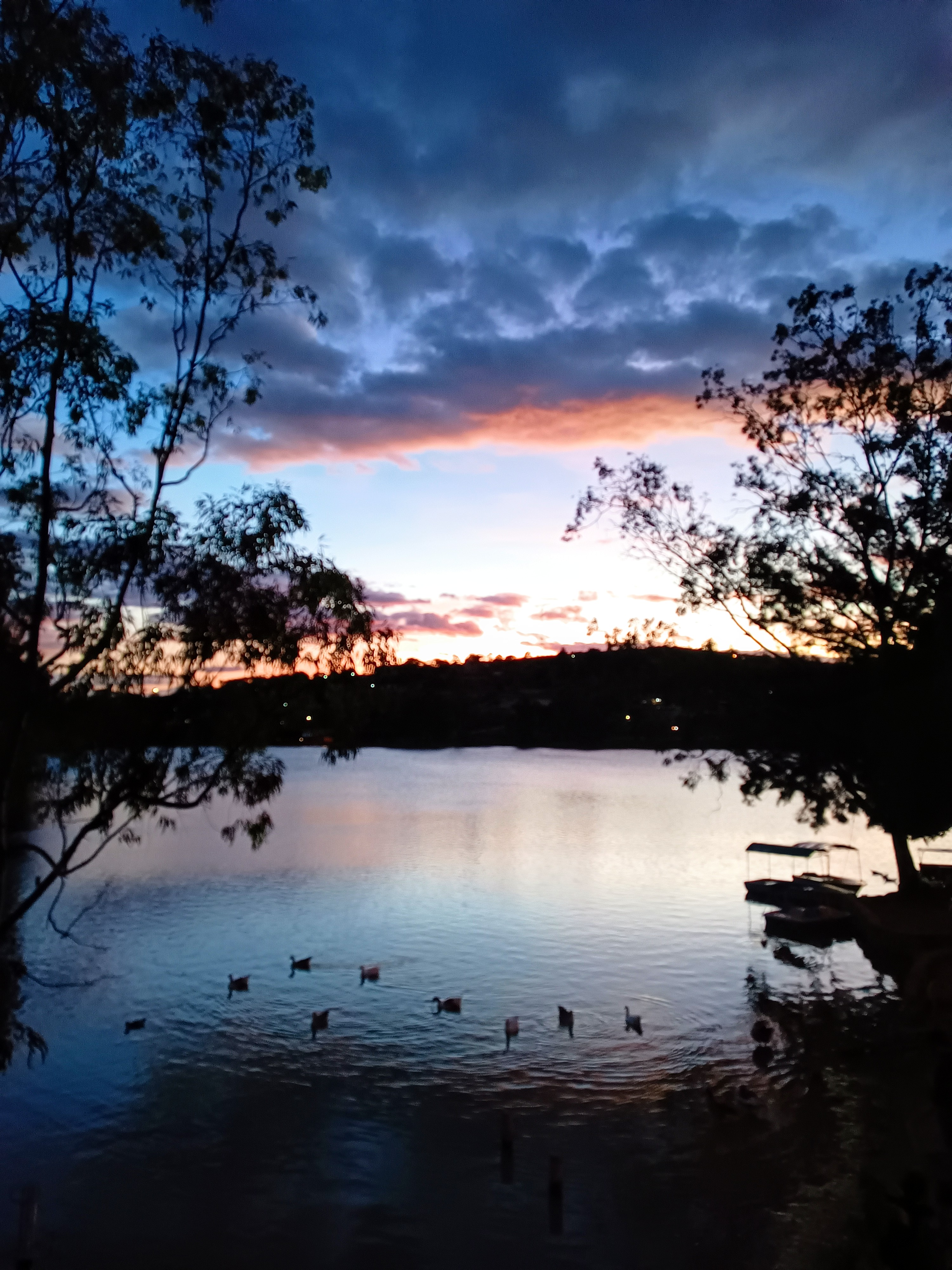 Comedor La Azucena image 5