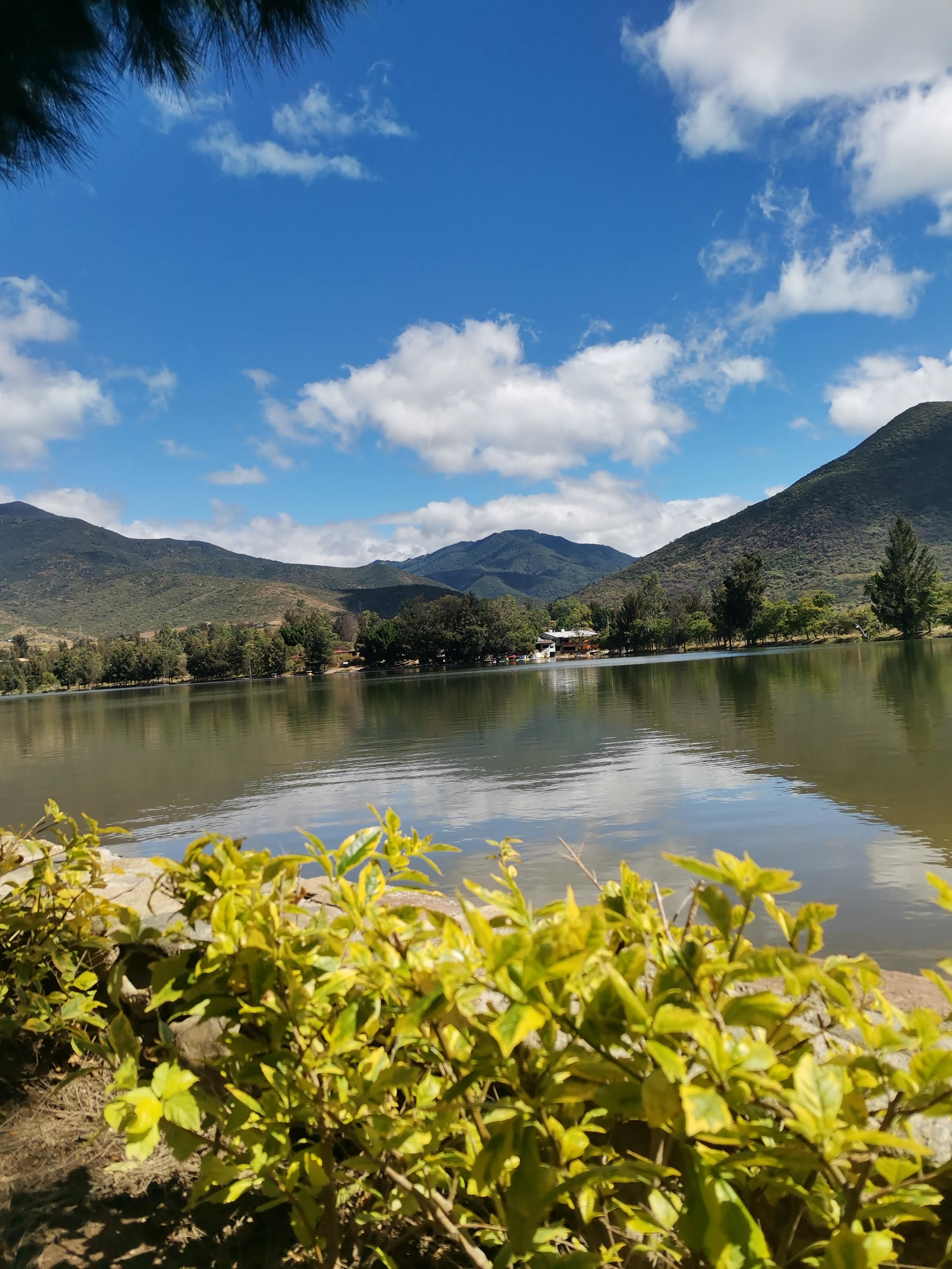 Comedor La Azucena image 6
