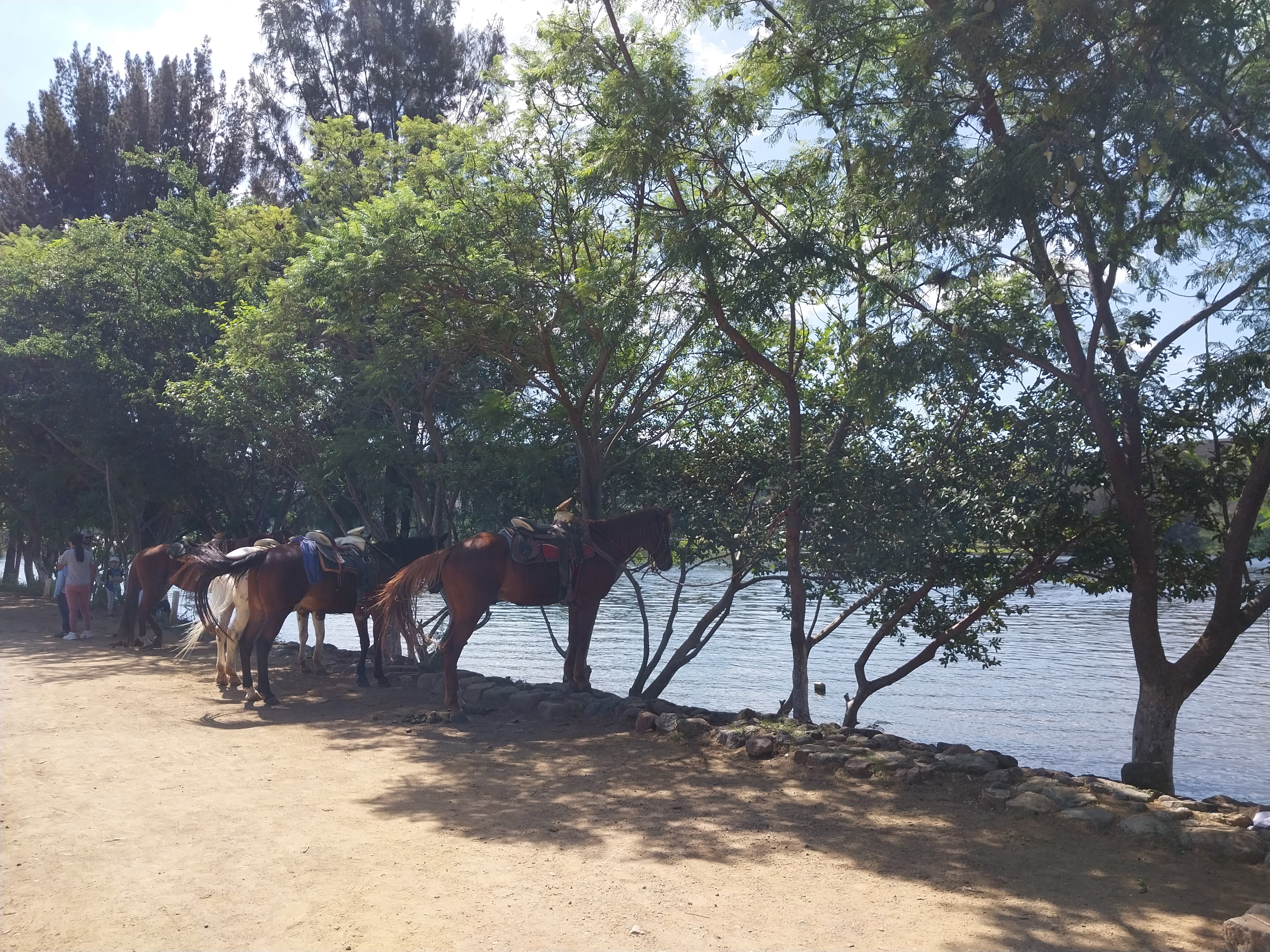 Comedor La Azucena image 8