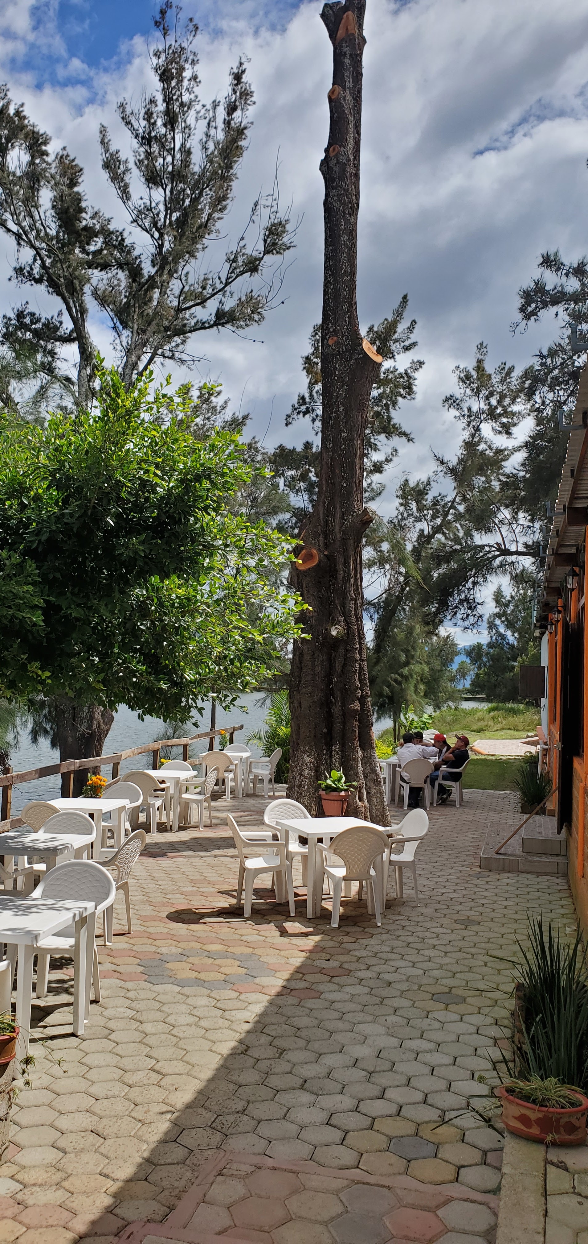 Restaurante los pinos image 3