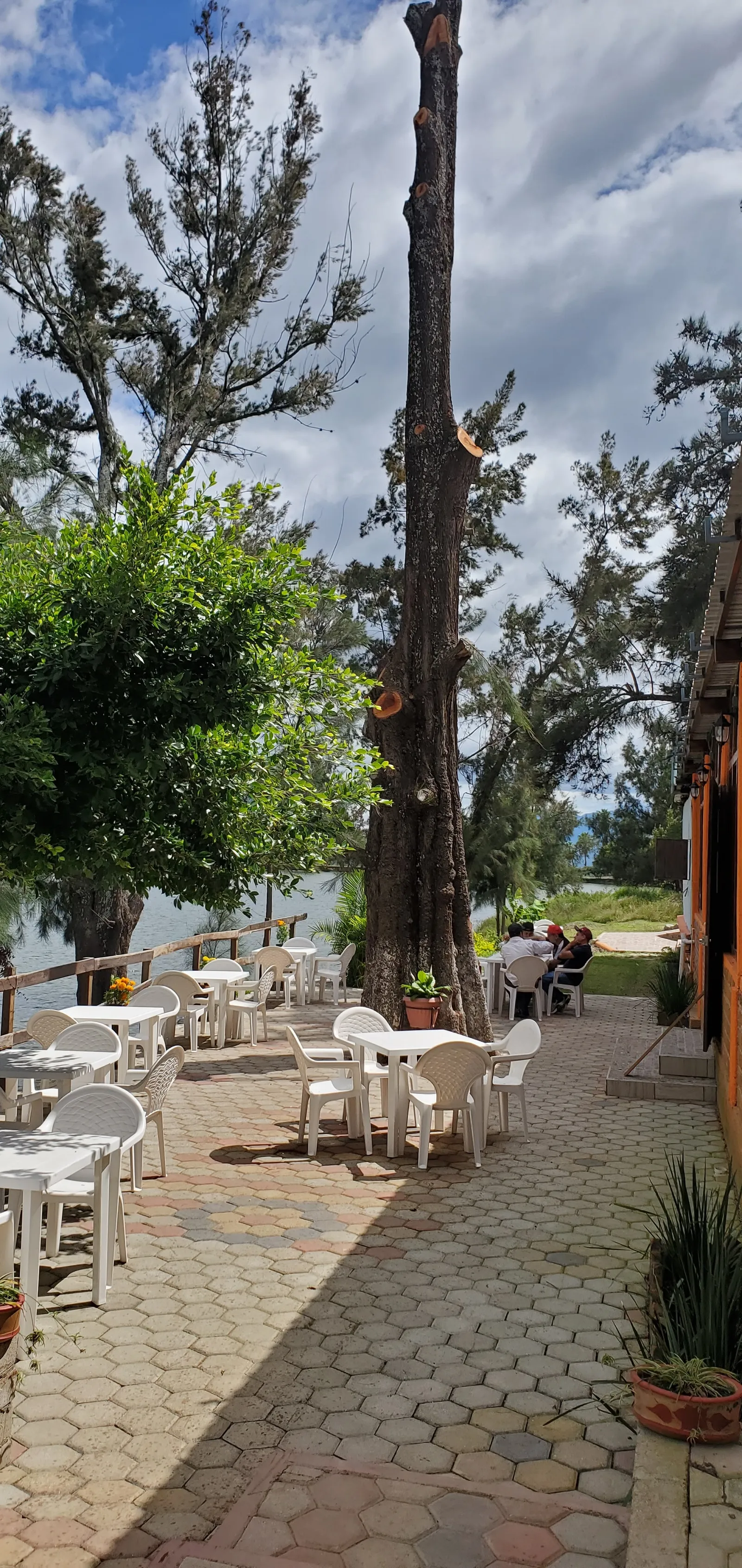 Restaurante los pinos image 3