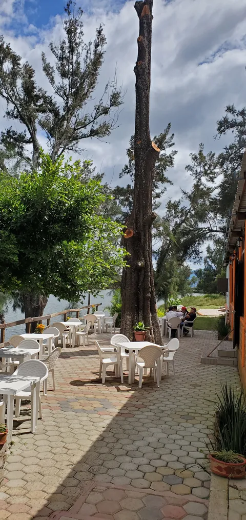 Restaurante los pinos image 3