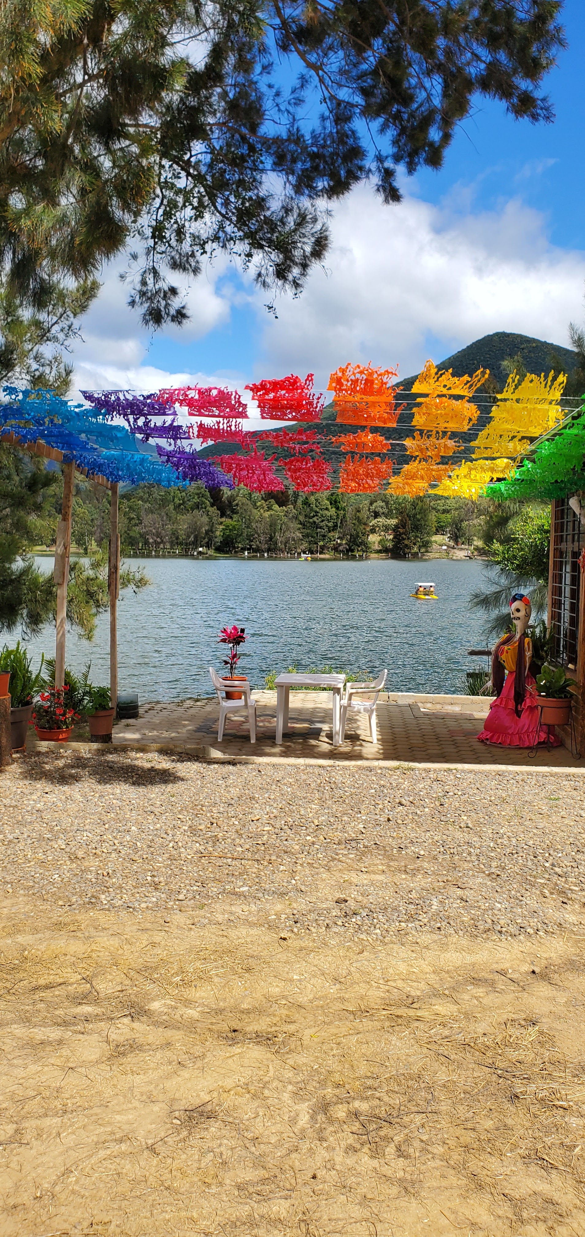 Restaurante los pinos image 5