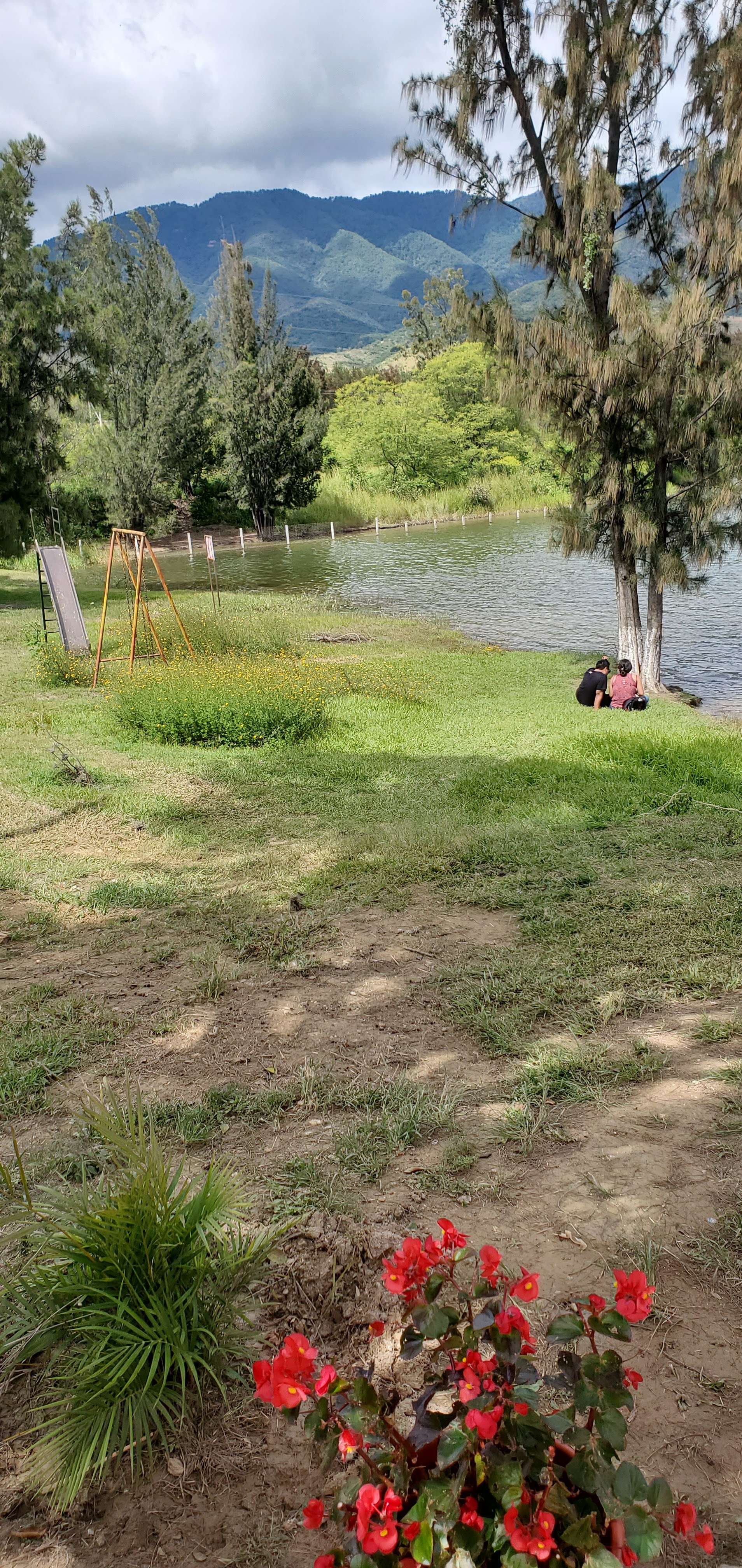 Restaurante los pinos image 6