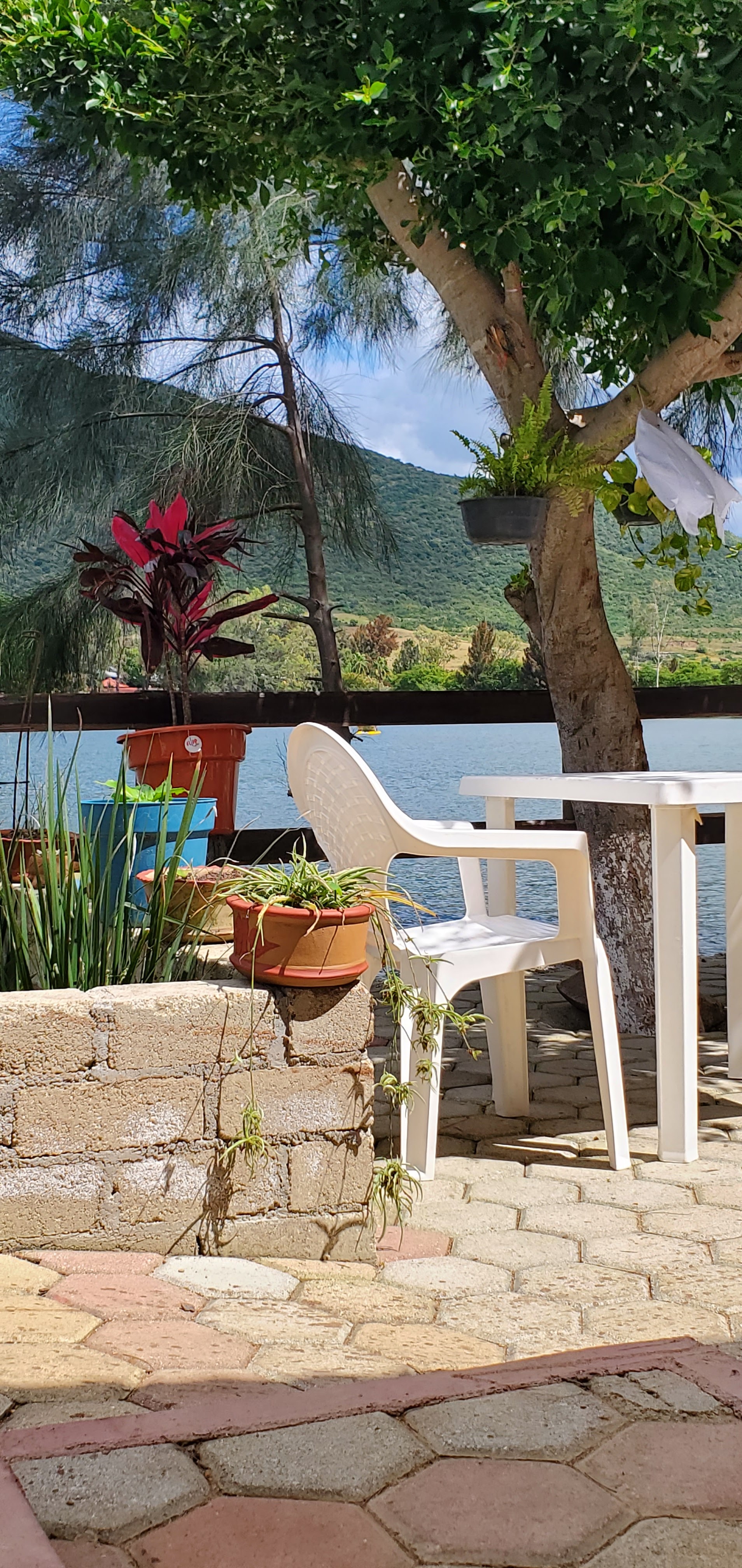 Restaurante los pinos image 8