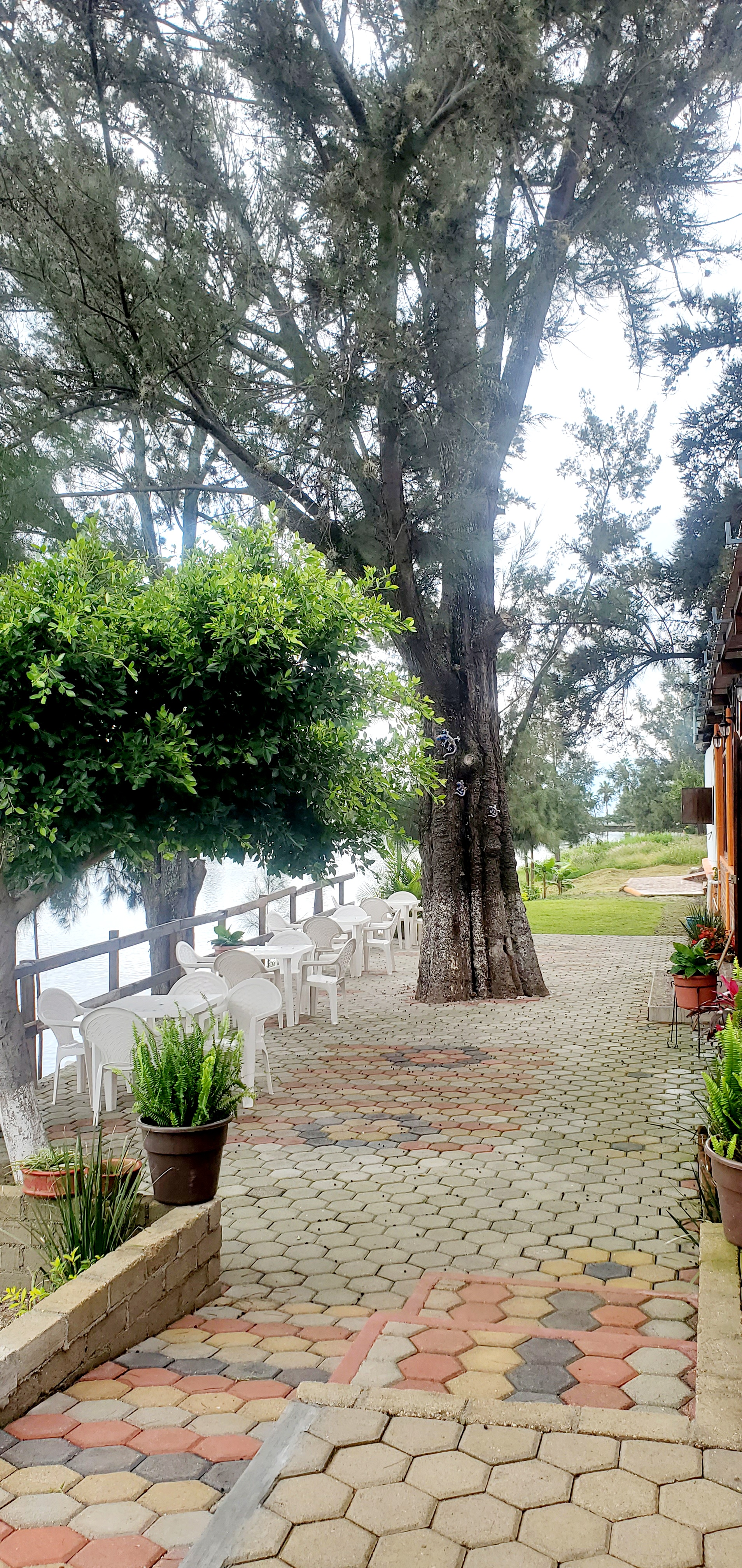 Restaurante los pinos image 10