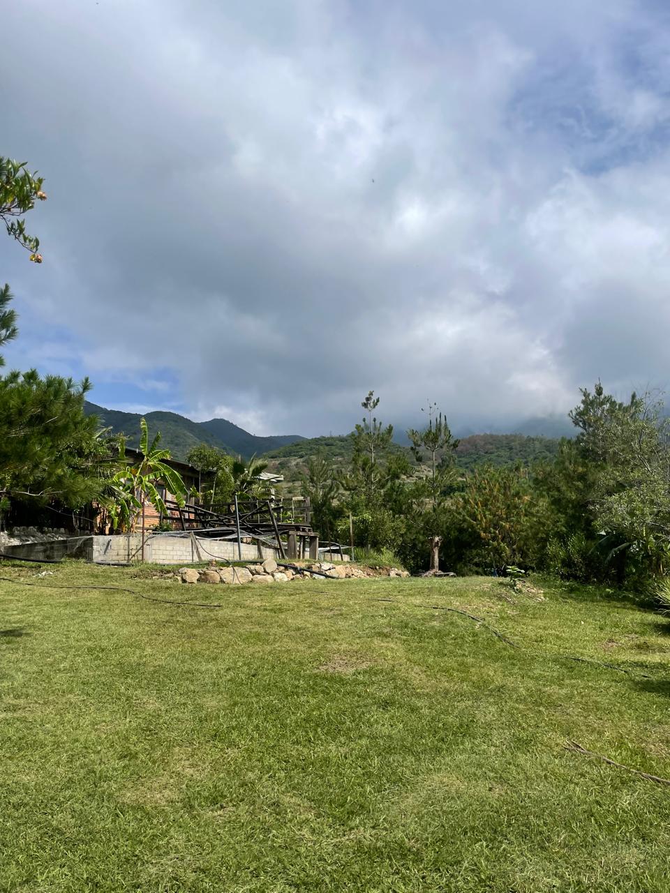 Yuu Cunn Vidd image 4