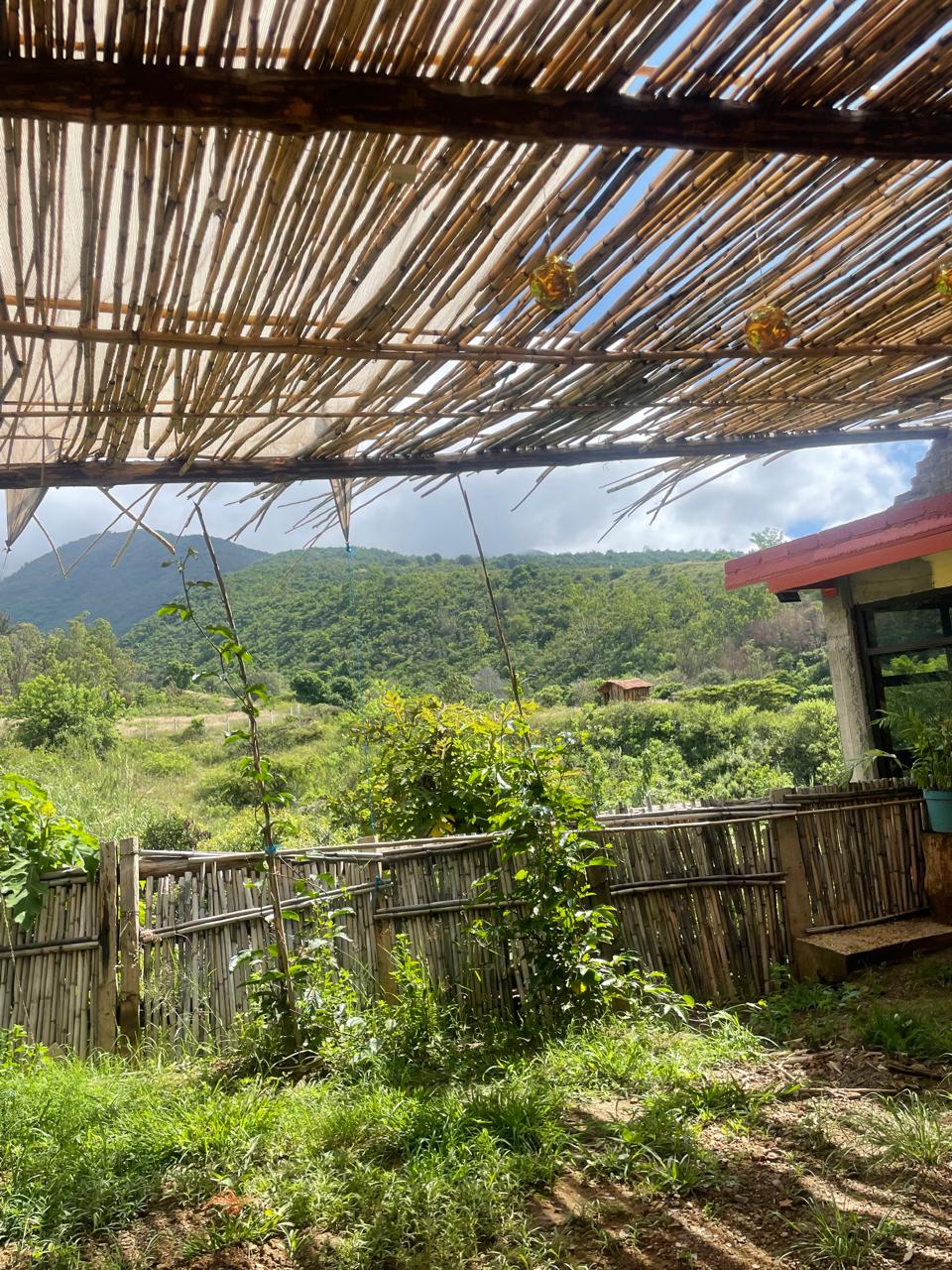 Yuu Cunn Vidd image 6