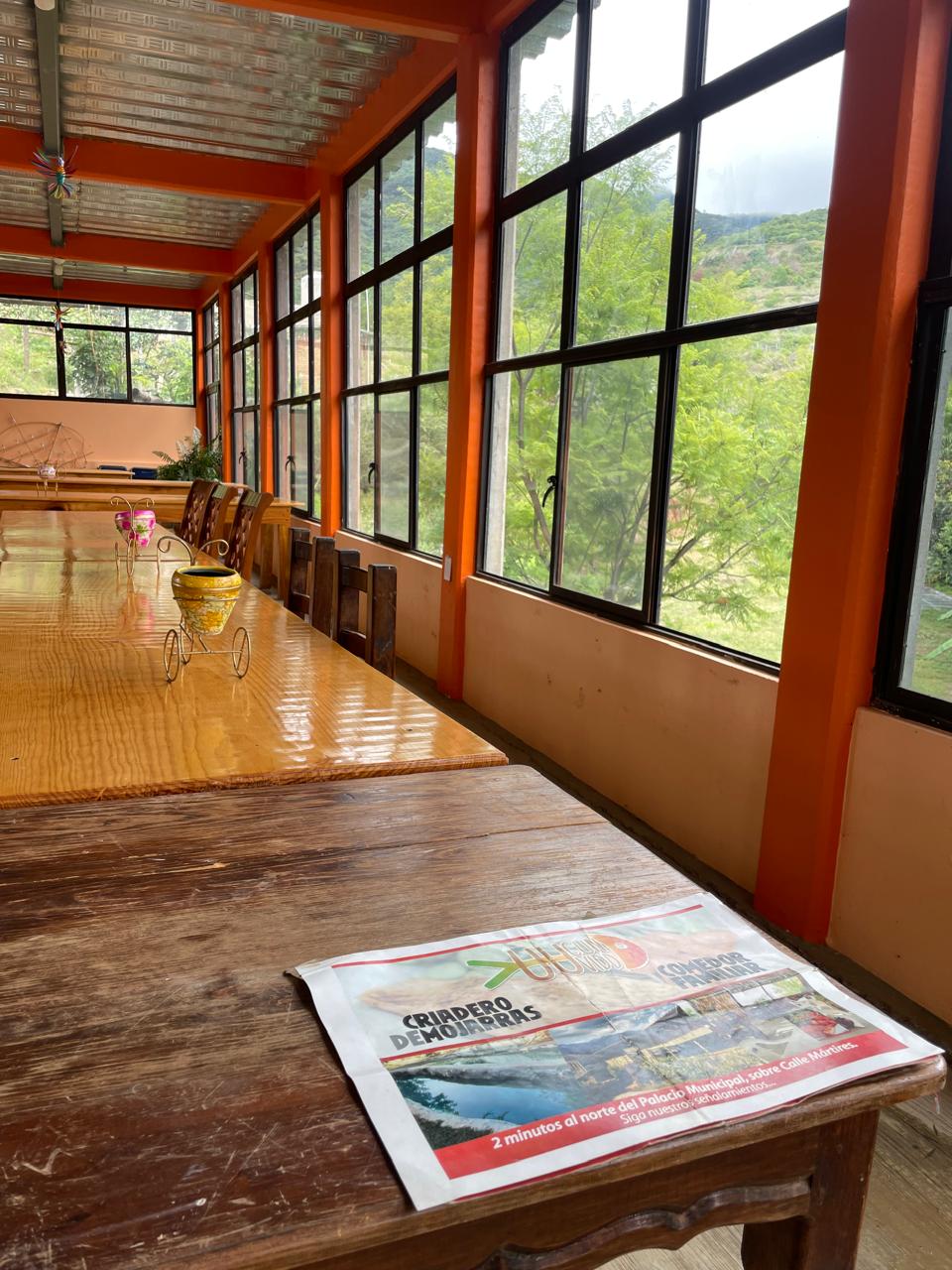 Yuu Cunn Vidd image 8