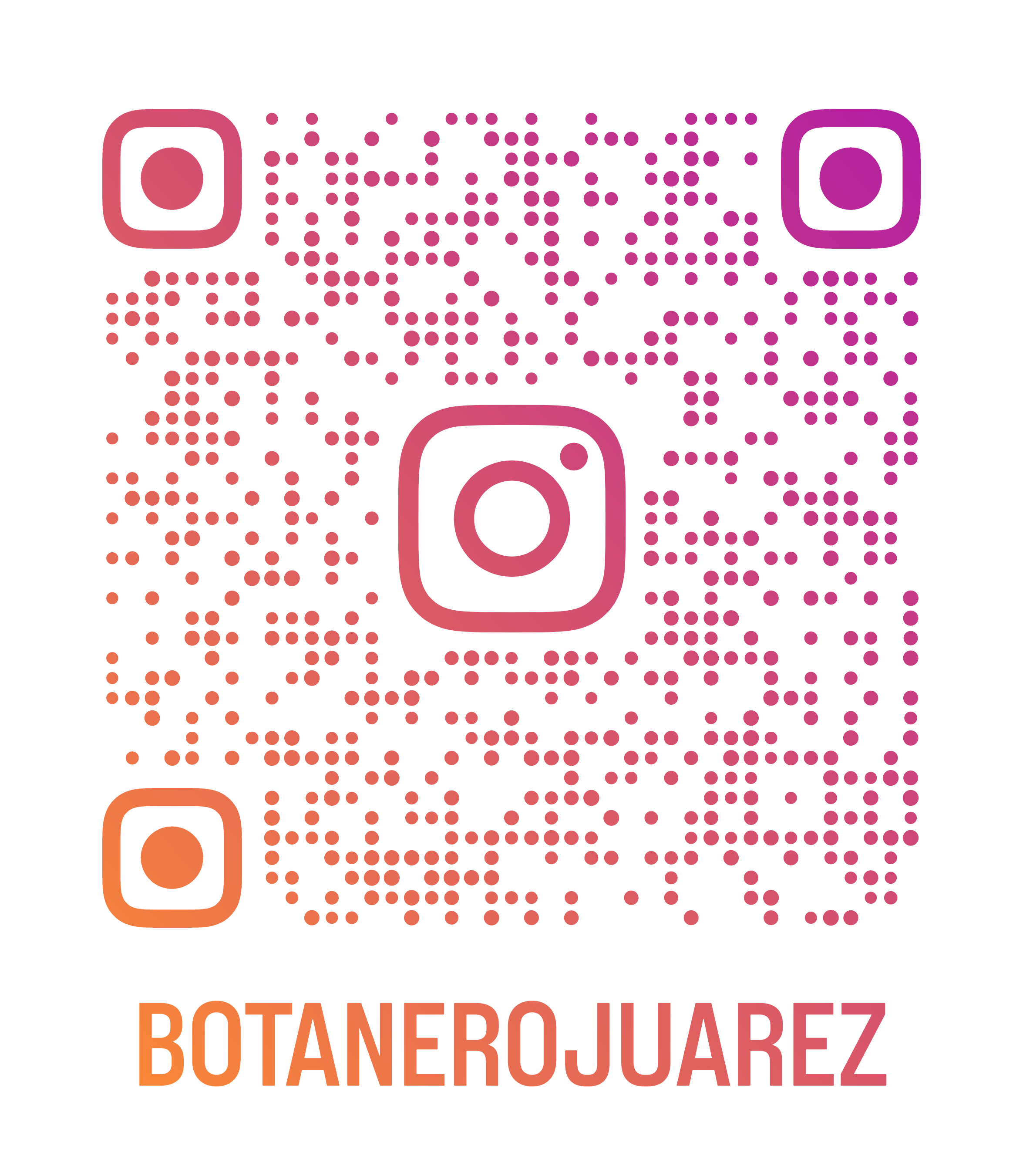 Botanero Juárez image 5