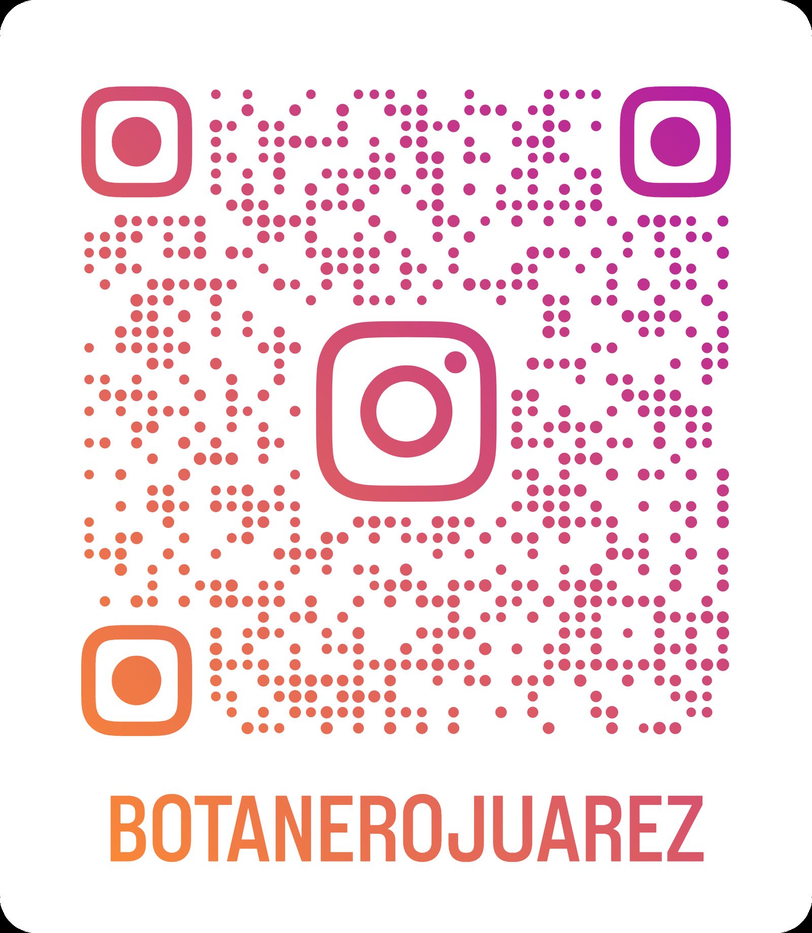 Botanero Juárez image 5