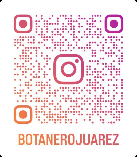 Botanero Juárez image 5