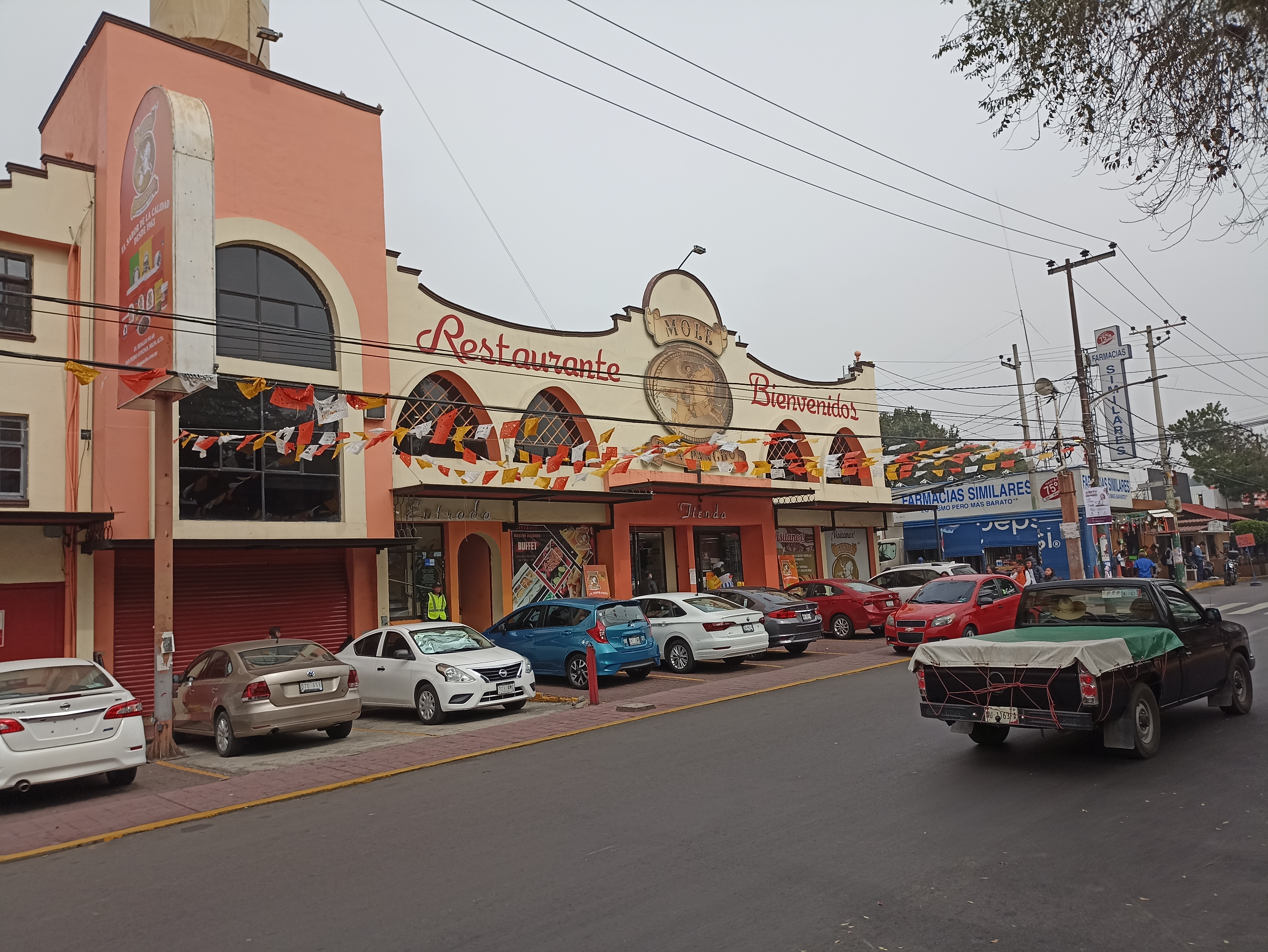 Mole Don Pancho image 5