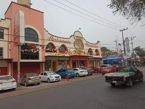 Mole Don Pancho image 5