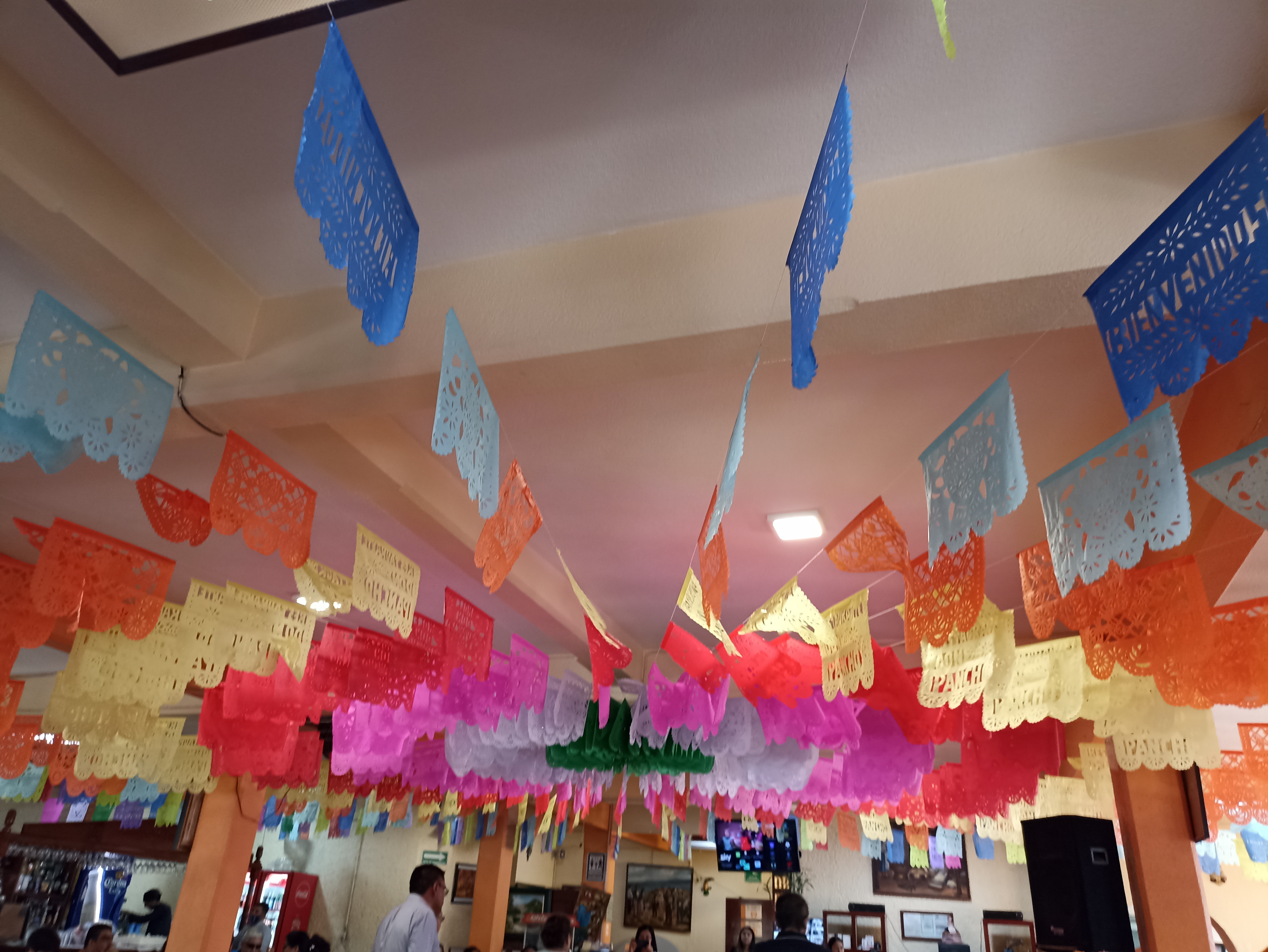 Mole Don Pancho image 6