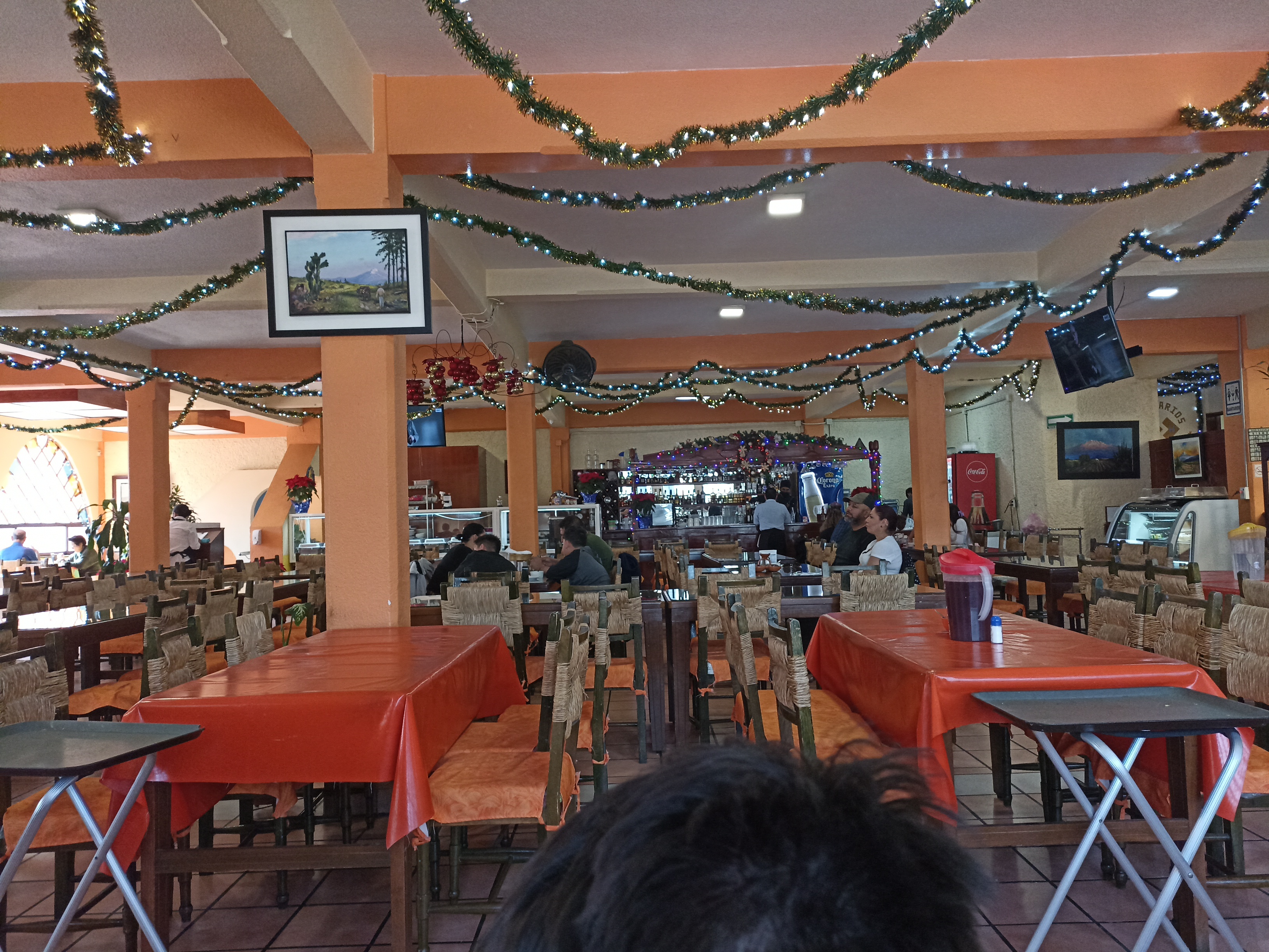 Mole Don Pancho image 7