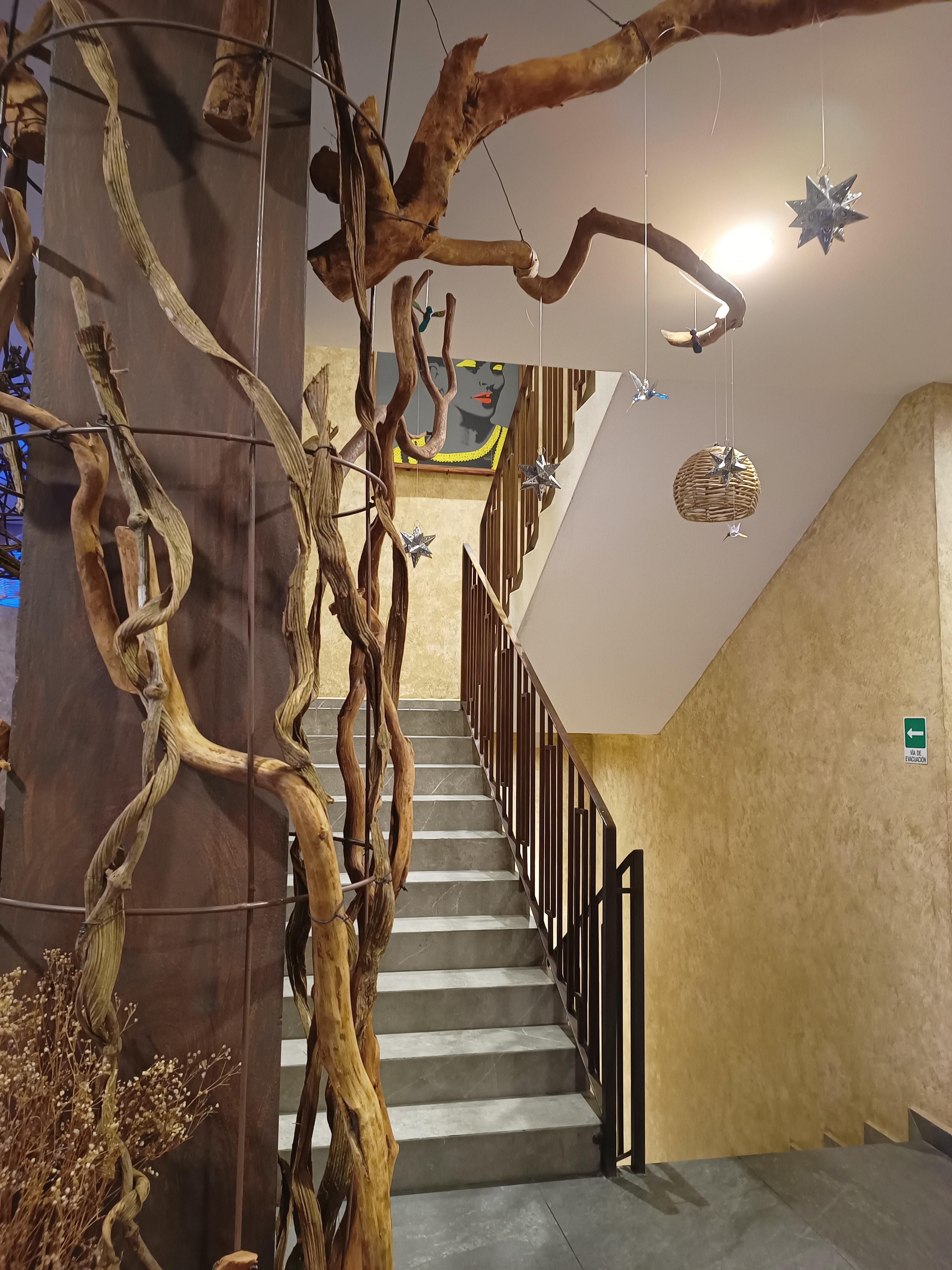 Terraza Tlaixco image 6