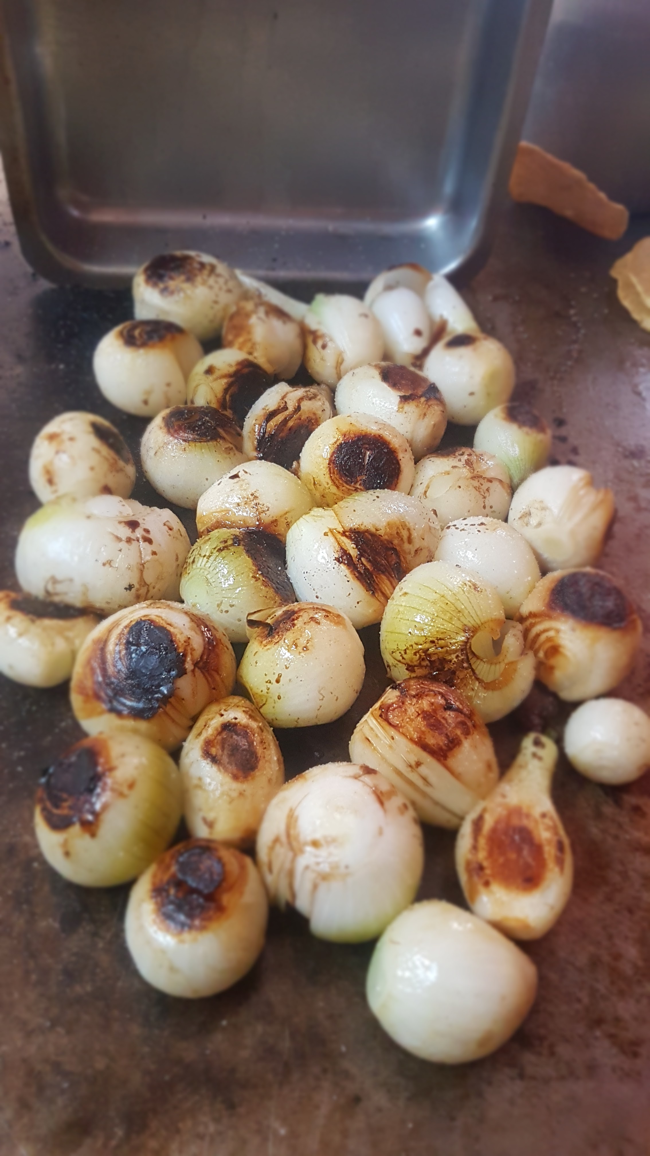 Taqueria "El Pastorcito" image 4