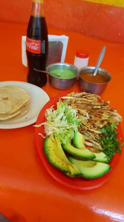 Taqueria "El Pastorcito" image 6