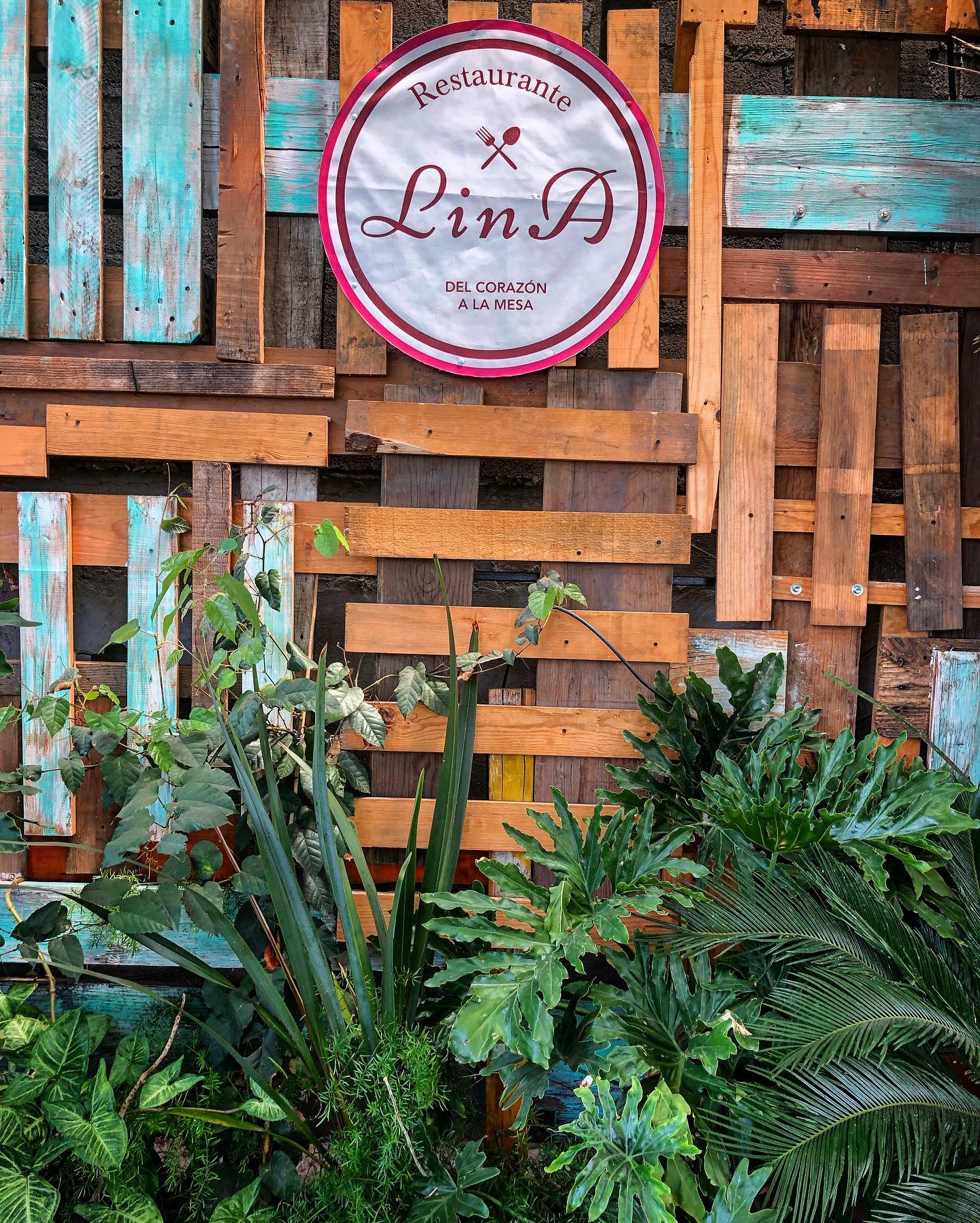 Restaurante Lina Xochimilco image 5