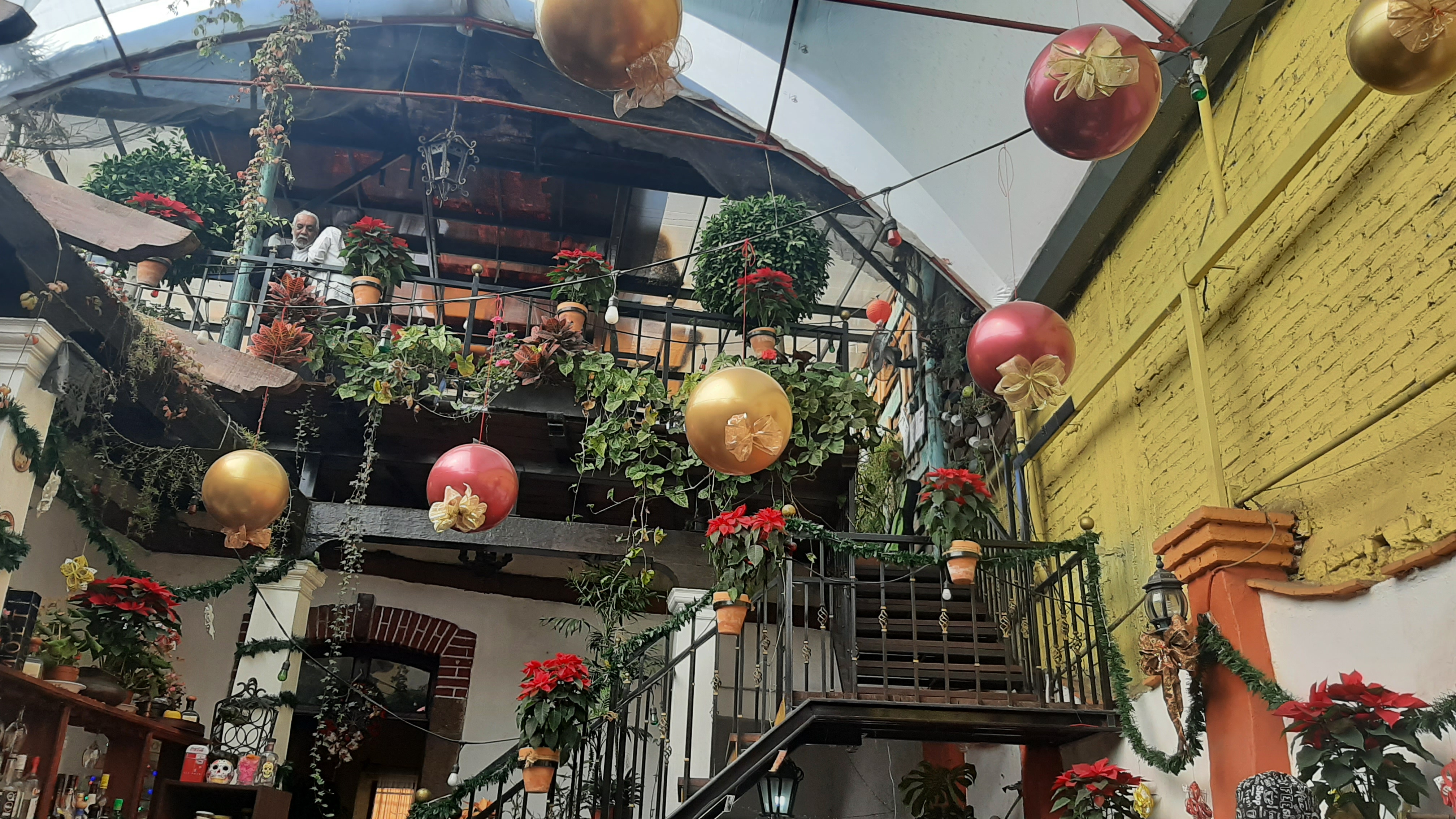 Restaurante Lina Xochimilco image 9