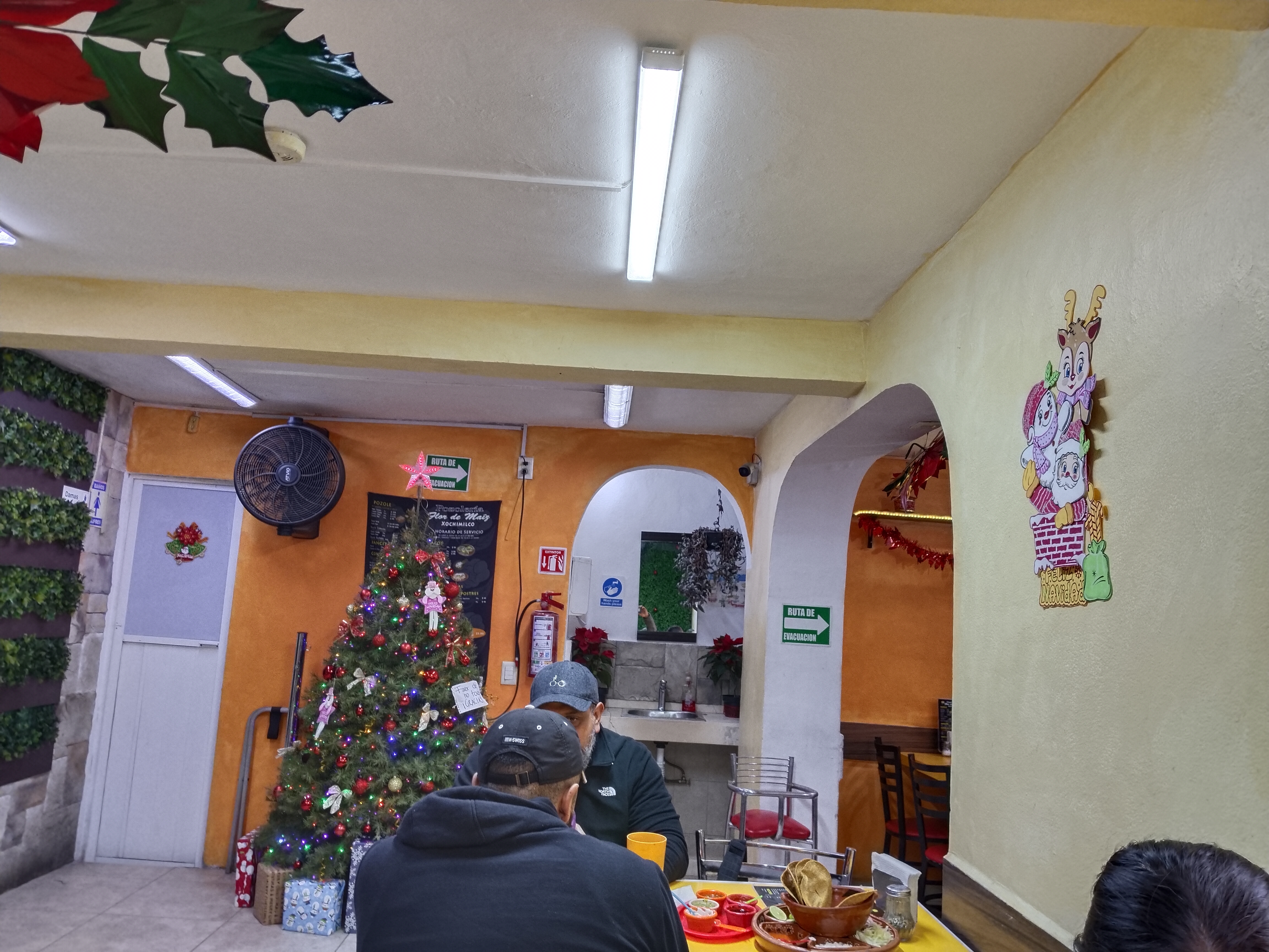 Flor de Maíz image 4