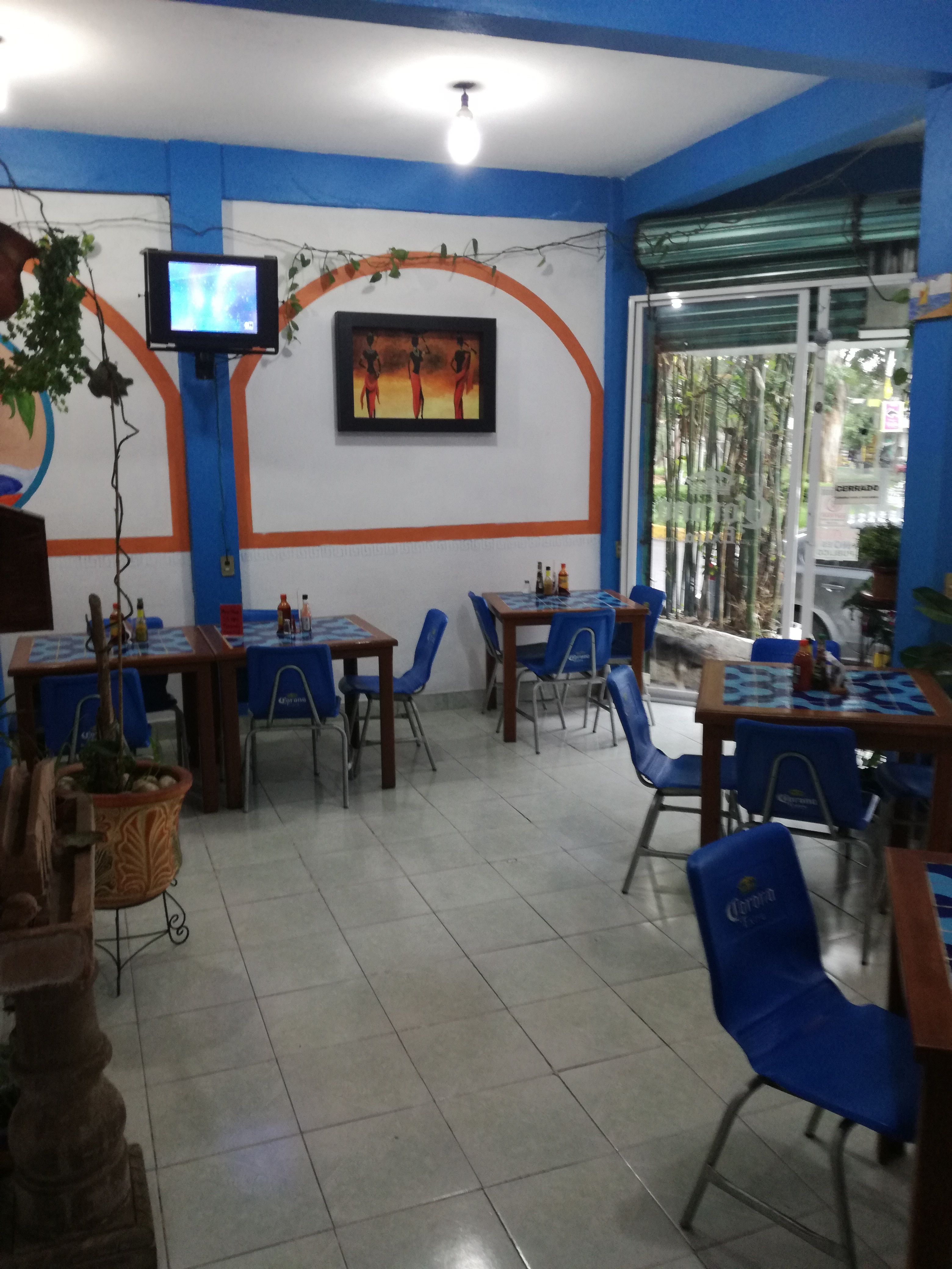 Lo Rico de Veracrúz image 10