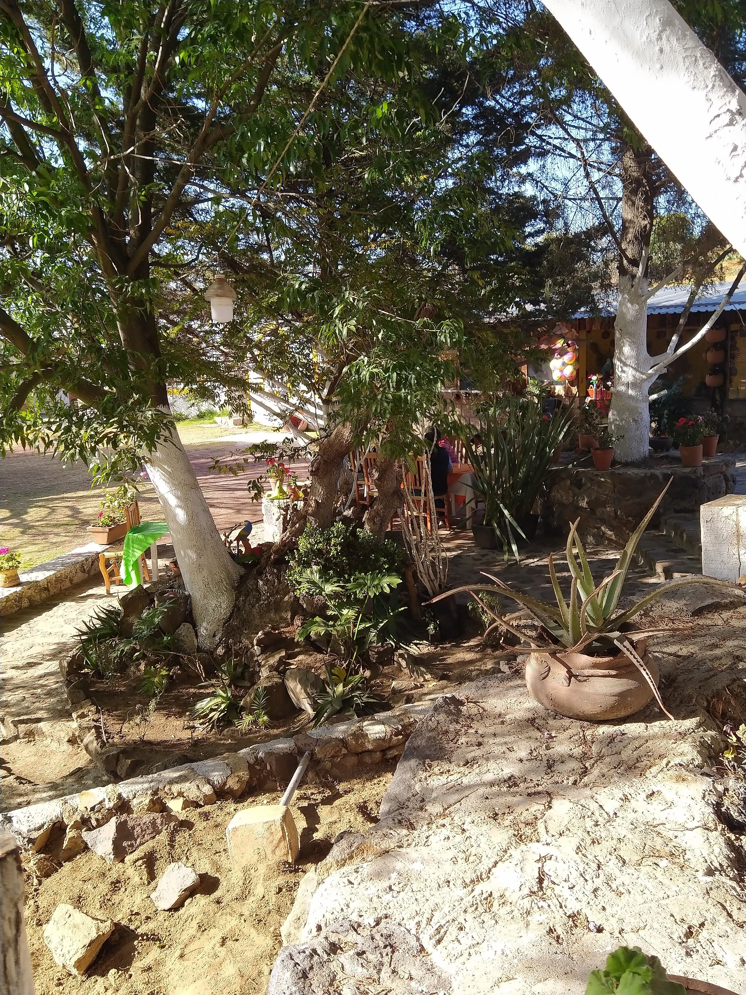 Hacienda de la Flor image 7