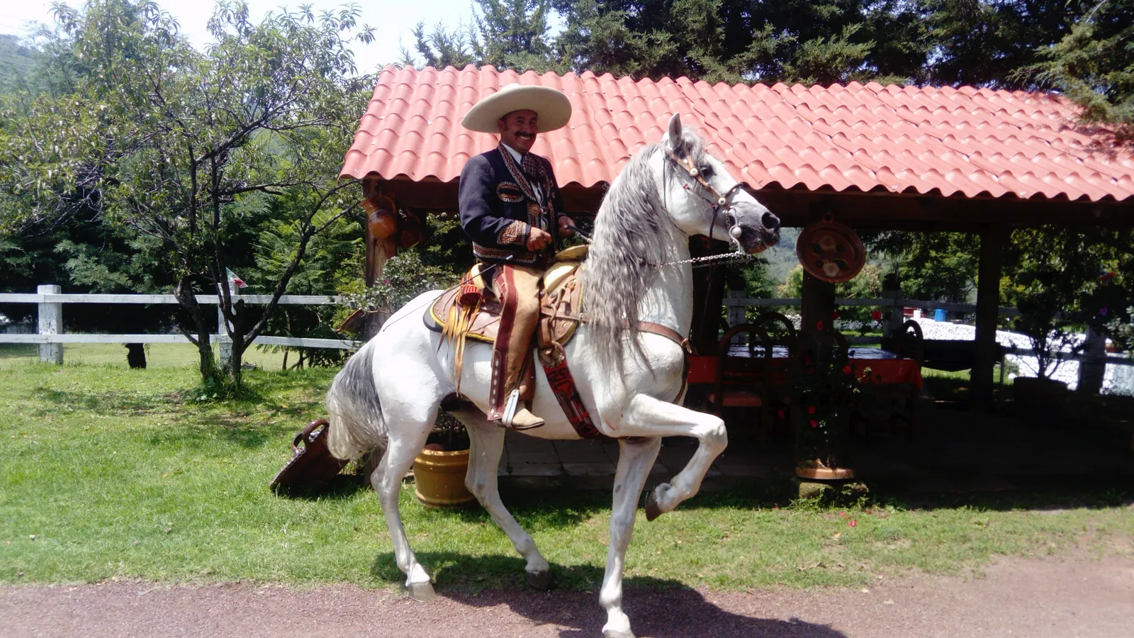 Hacienda de la Flor image 9