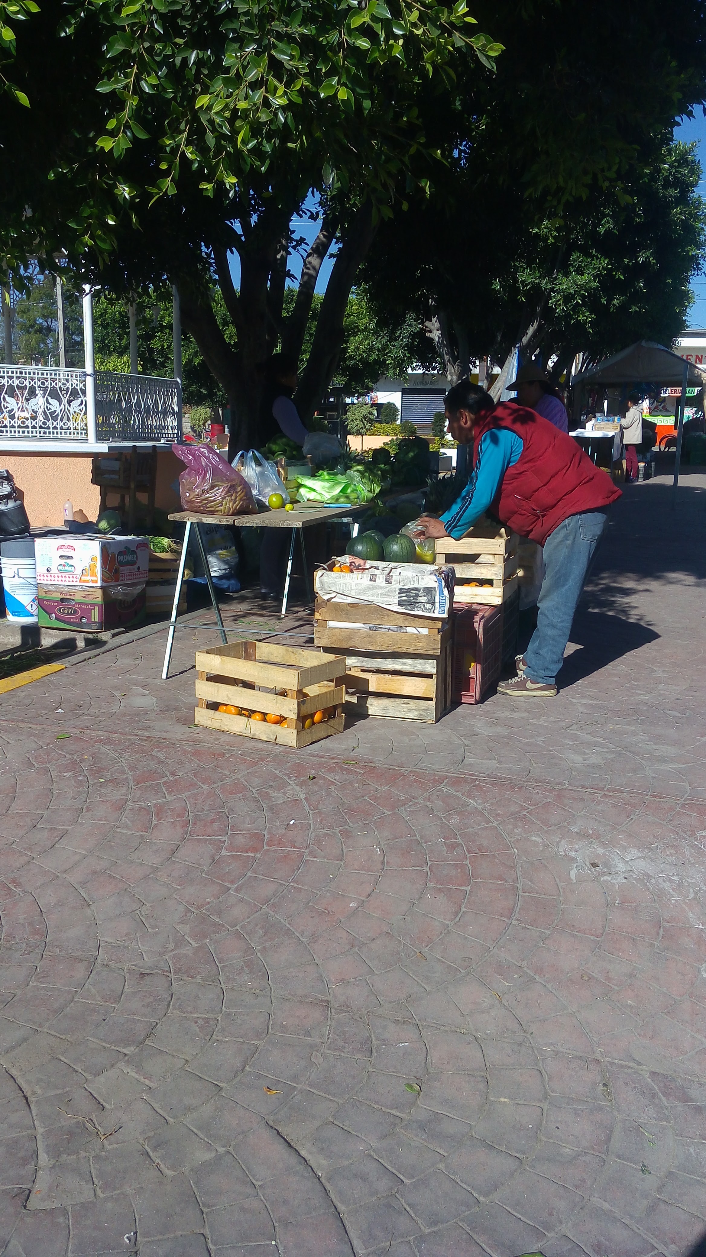 Famous Pizza image 9