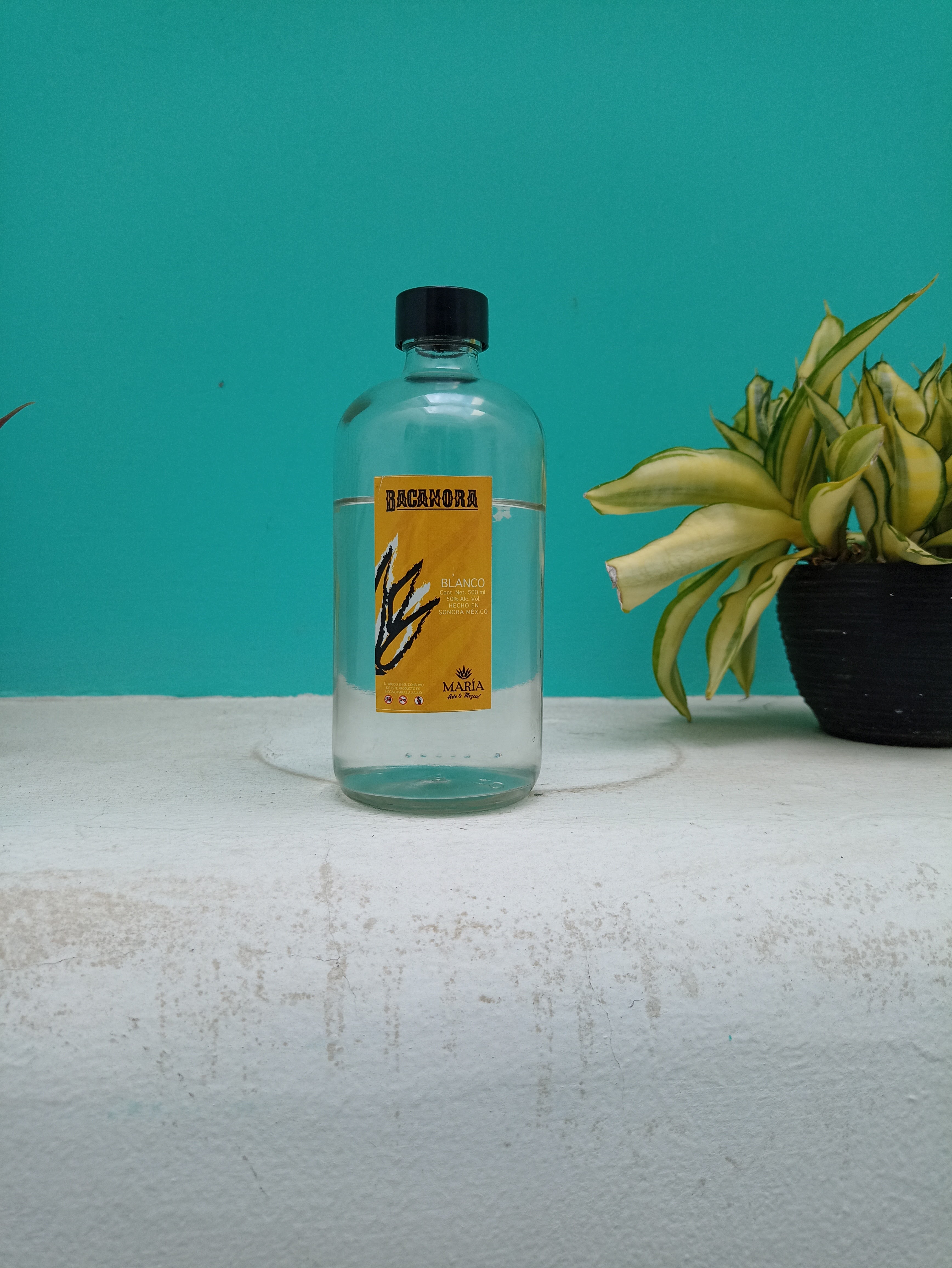 Mezcal&Bacanora Chipilo image 6