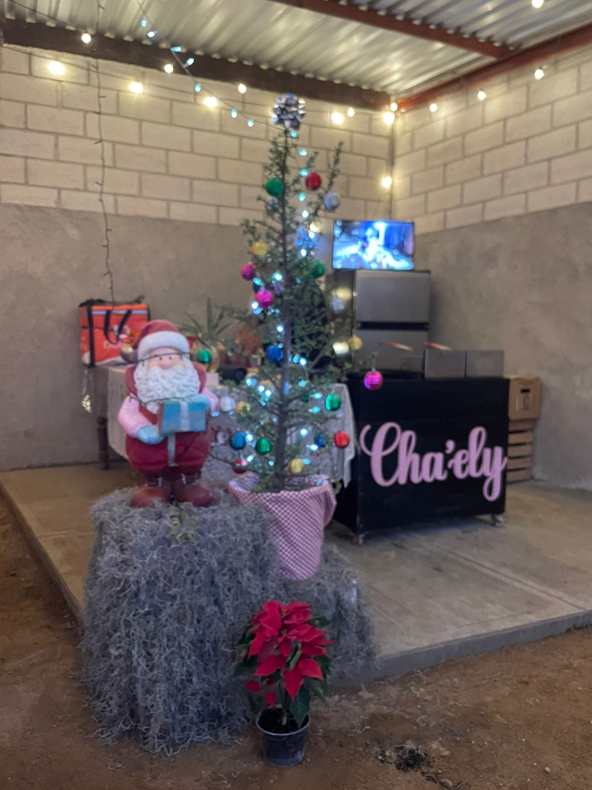 La Casa de Teo image 7