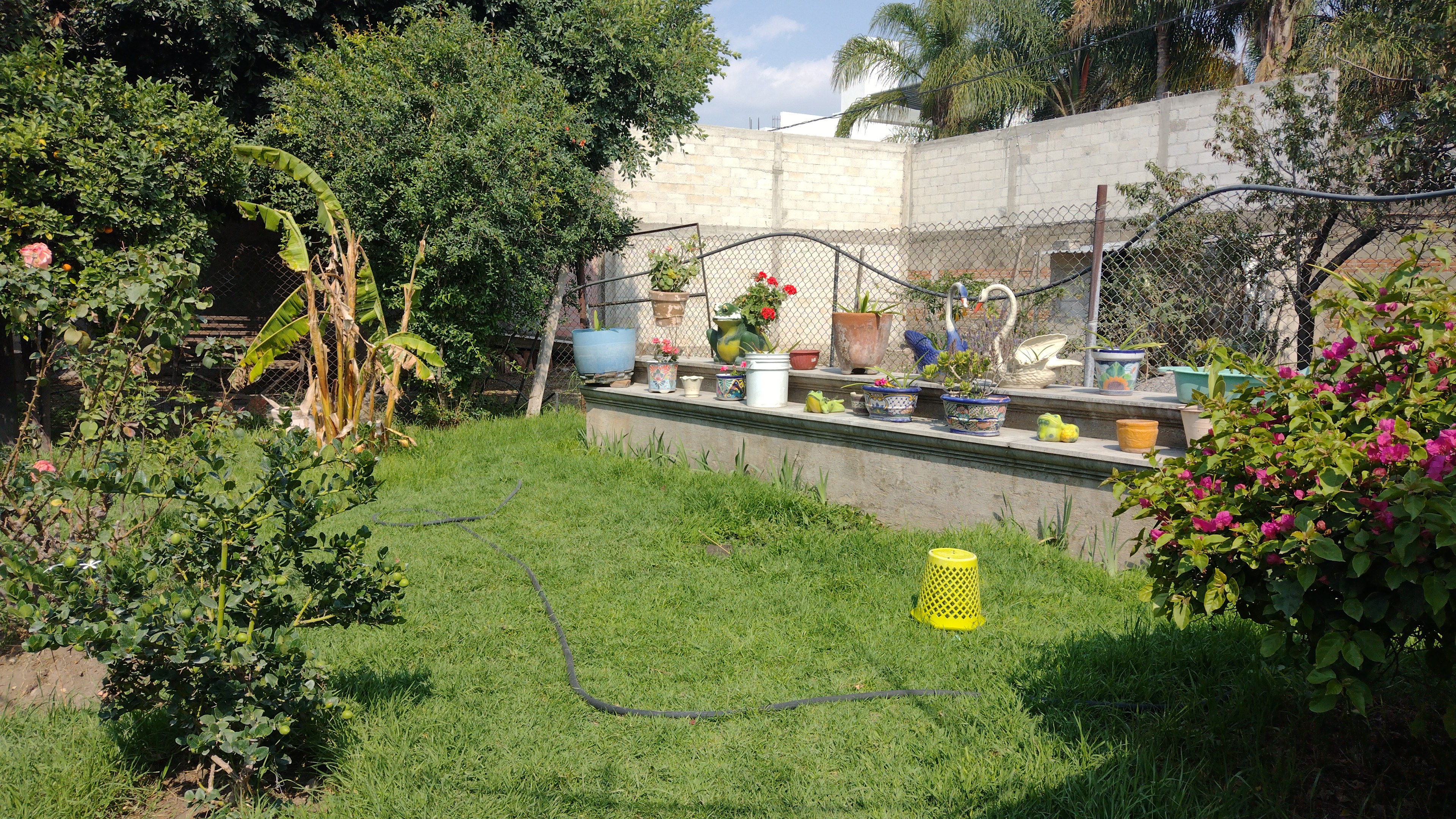 Biglietti Dei Nonni image 4